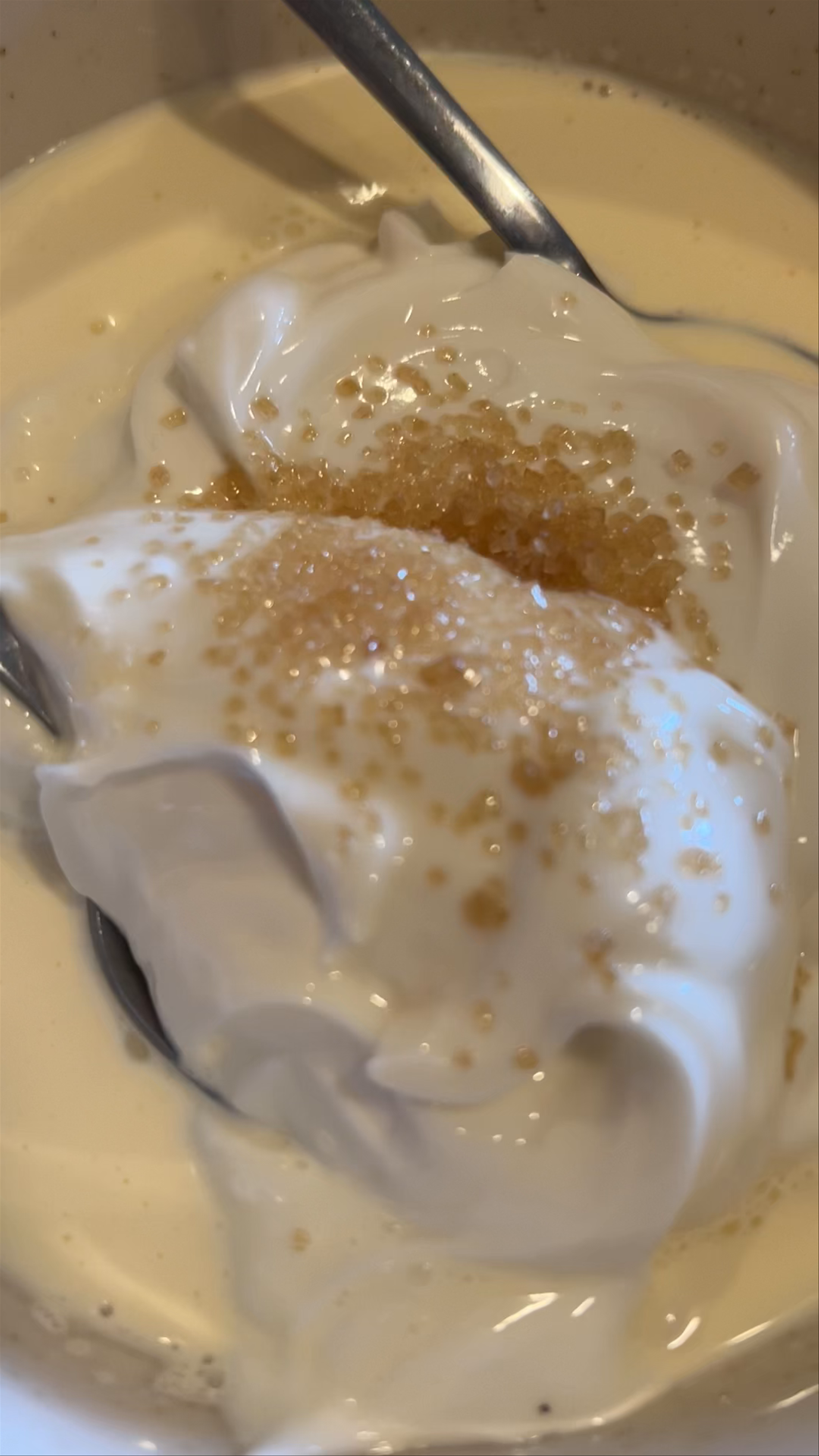 Icelandic Traditional Skyr with Cream and Brown Sugar in Arnarstapi