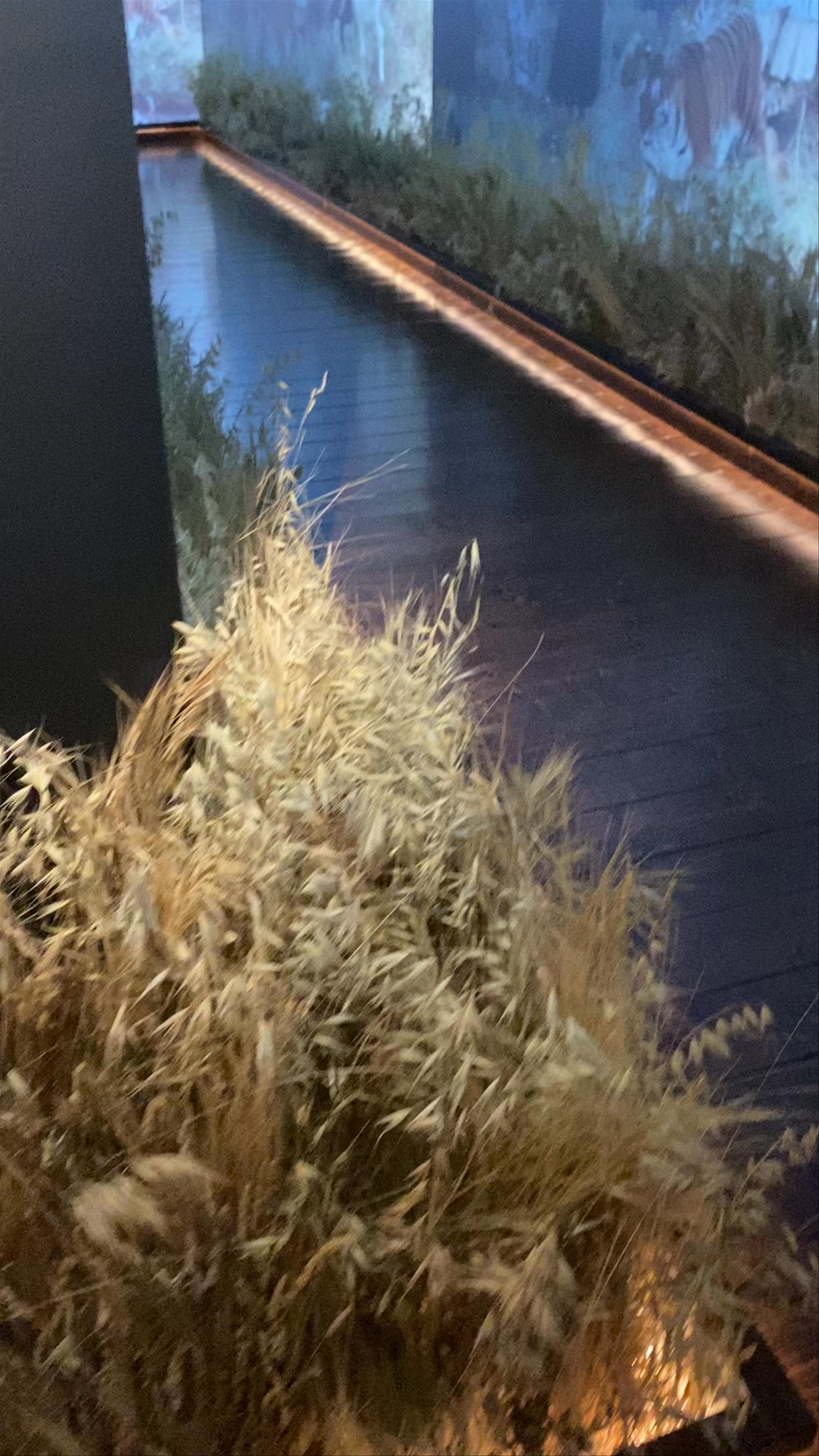 Gucci Garden, Florence