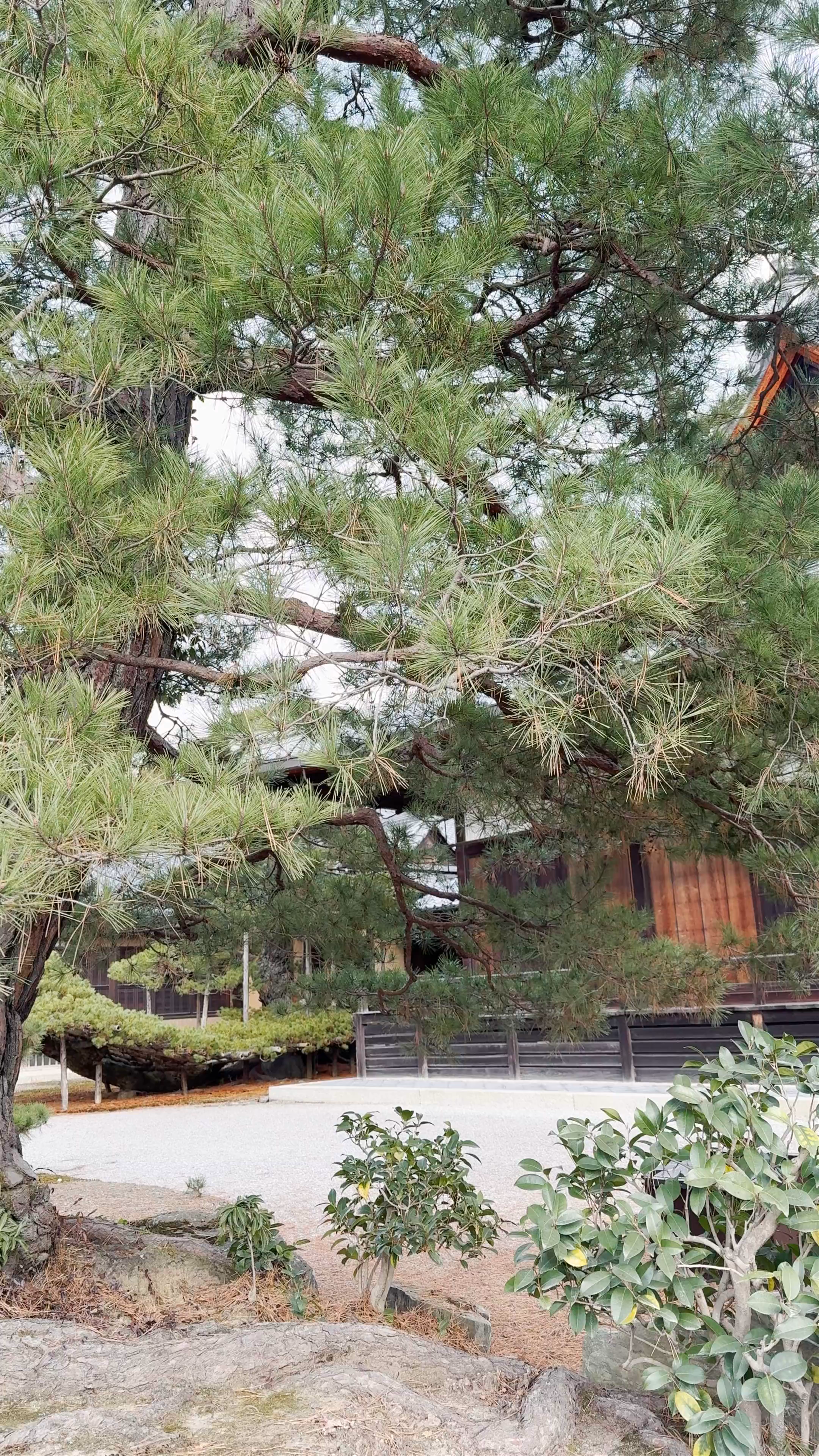 Kinkaku-ji