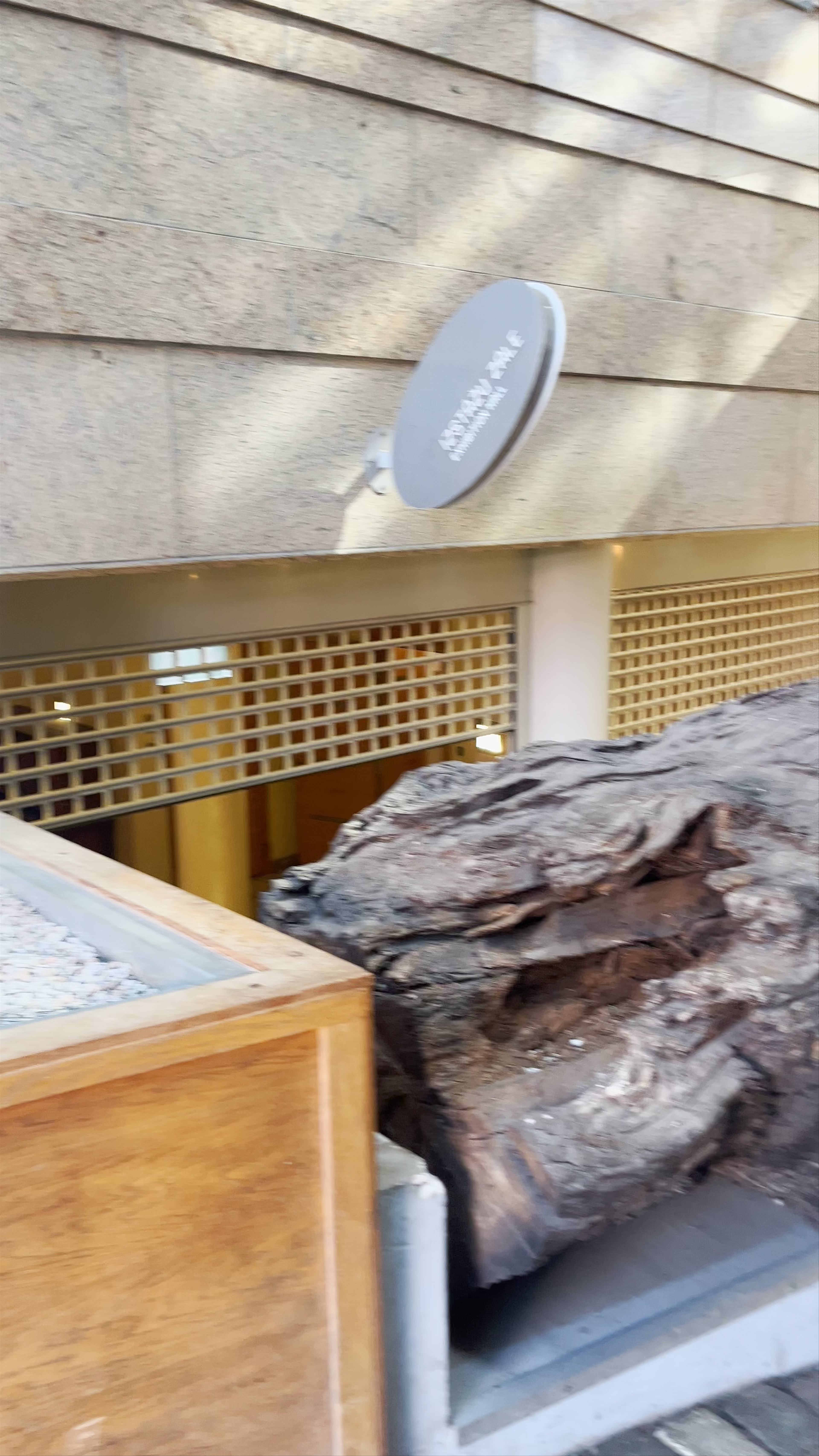 Rātes Pasāža: Contemporary Hidden Gem in Central Riga