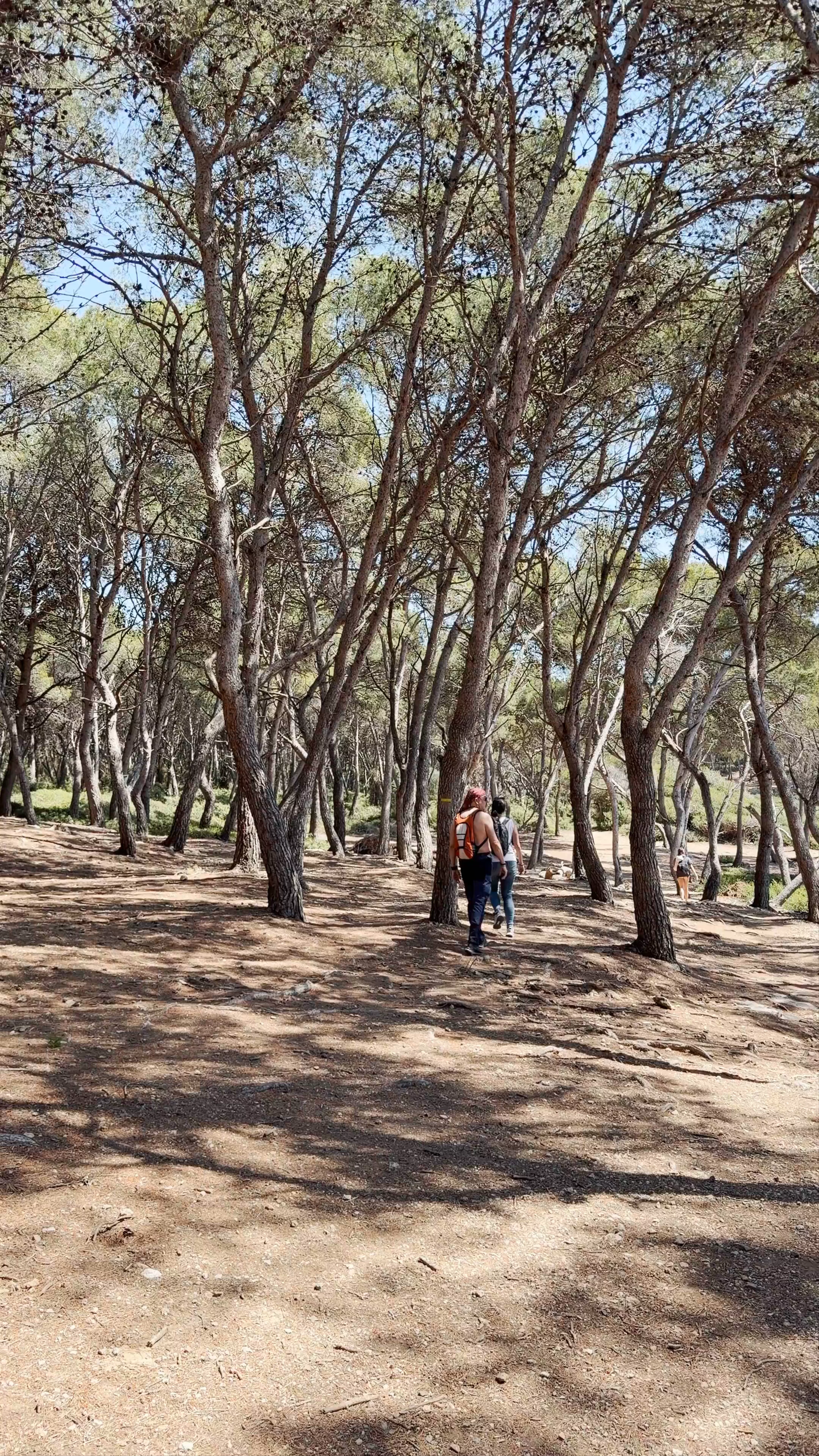 Tarragona