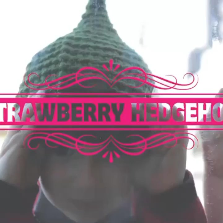 Strawberry Hedgehog - Cosmetics & Beauty Supply Near Me - Phoenix, Arizona