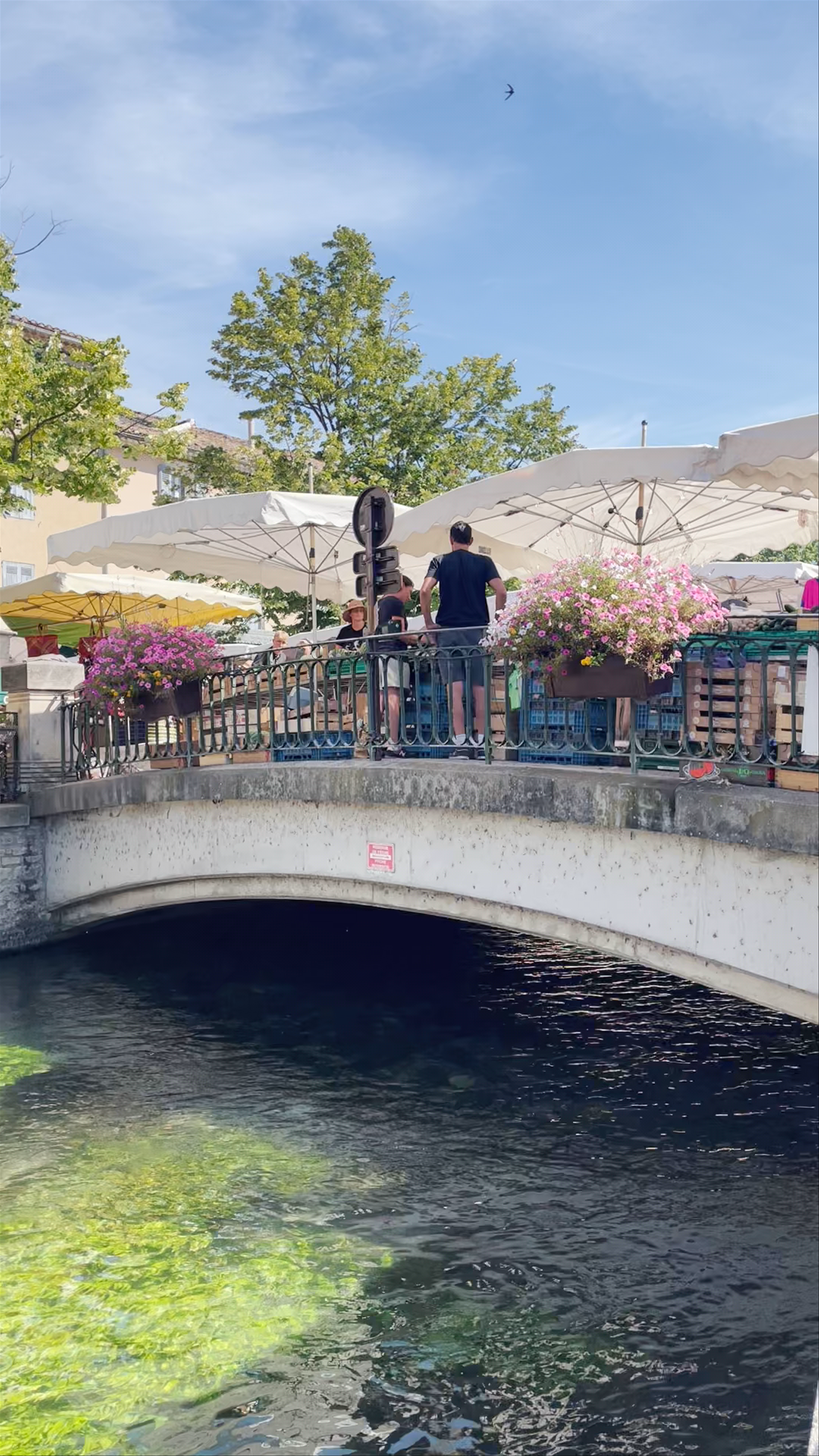L'Isle-sur-la-Sorgue Market