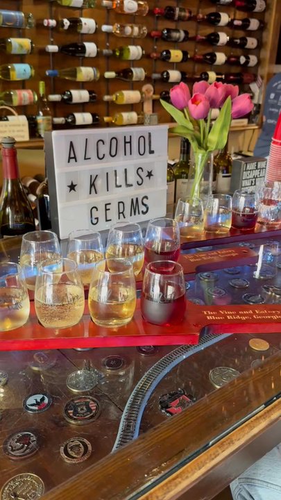 The Vine - Wine Bars Near Me - Blue Ridge, Georgia
