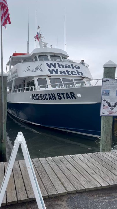 Cape May Whale Watcher - Whale Watch The American Star - Whale Watching Tours Near Me - Cape May, New Jersey