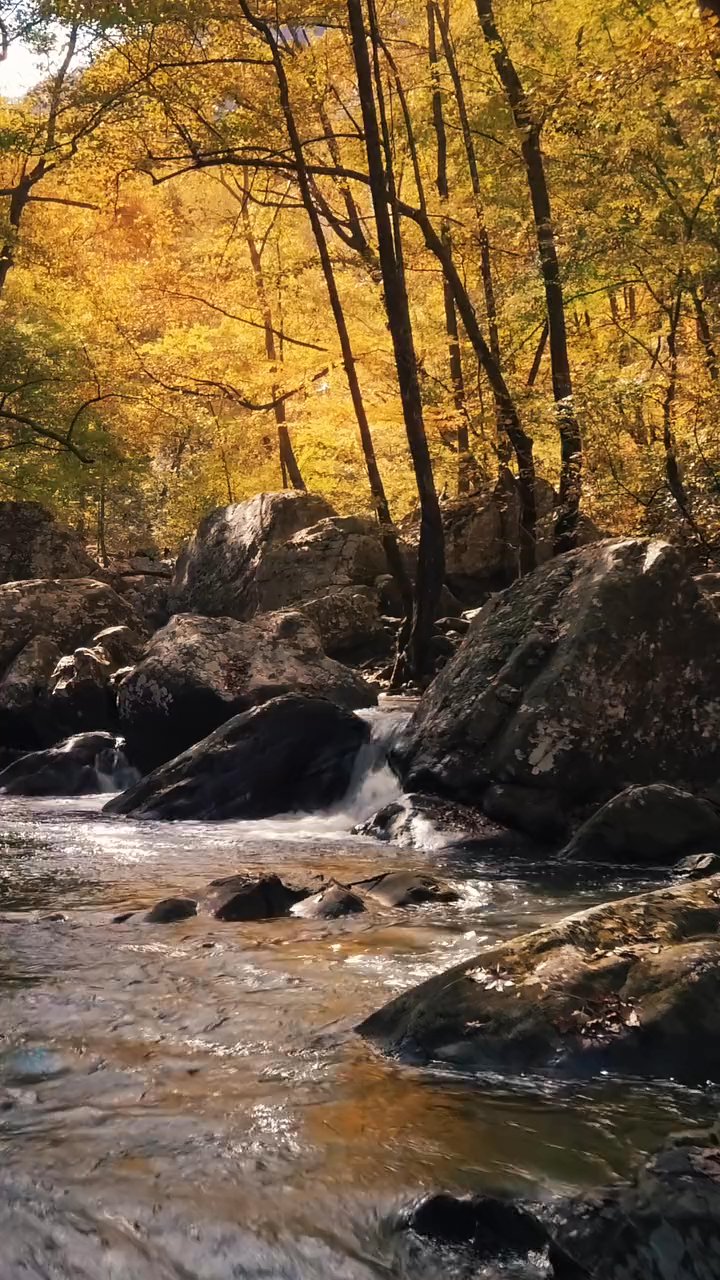 earth is beautiful
🎥 Ruvim M · Pexels
#nature #naturelovers #earth #relax #scenery