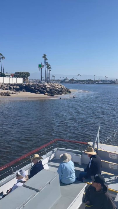Island Packers Cruises - Boating Near Me - Oxnard, California