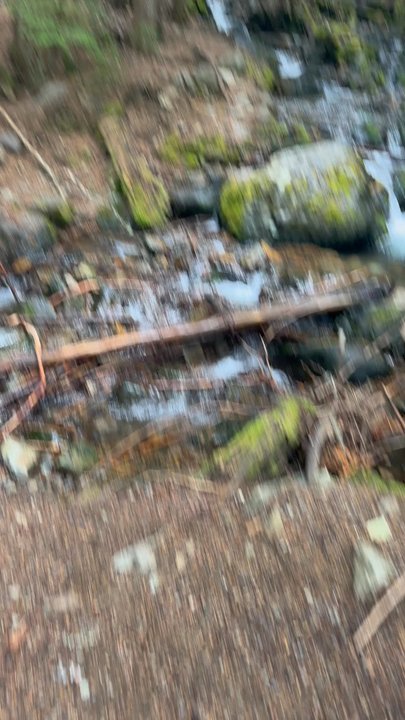 Crystal Peaks Trailhead - Water at trailhead. - Hiking Near Me - Enumclaw, Washington
