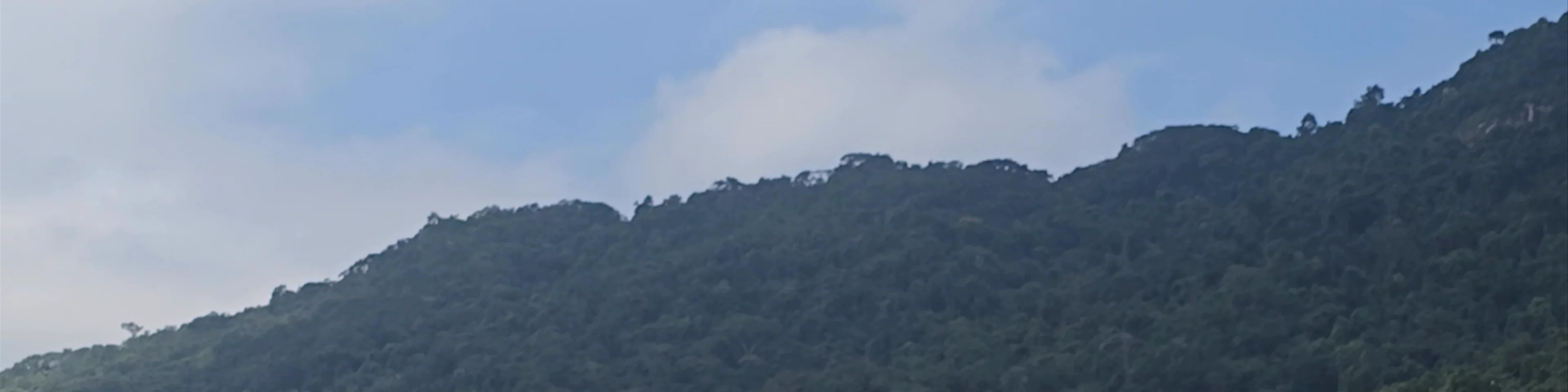 Ilha Grande