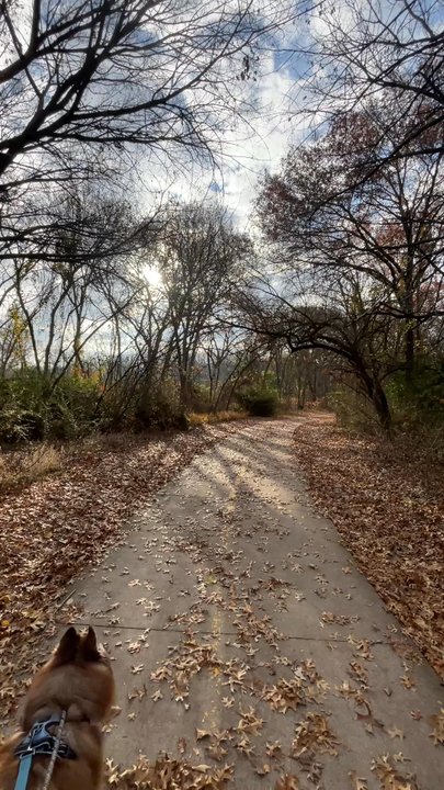 Art Cowsen Trailhead - Hiking Near Me - Benbrook, Texas