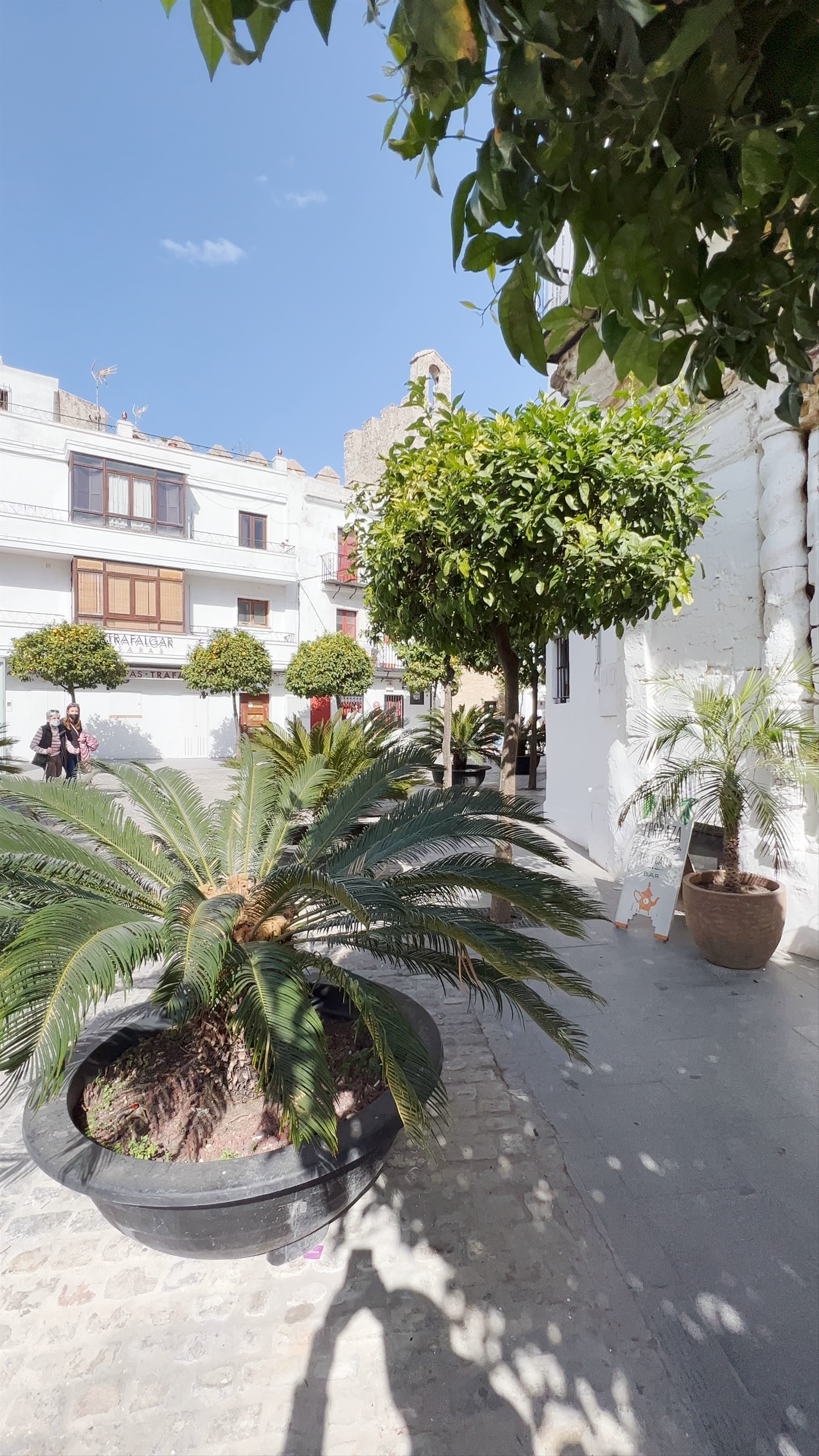 Vejer de la Frontera