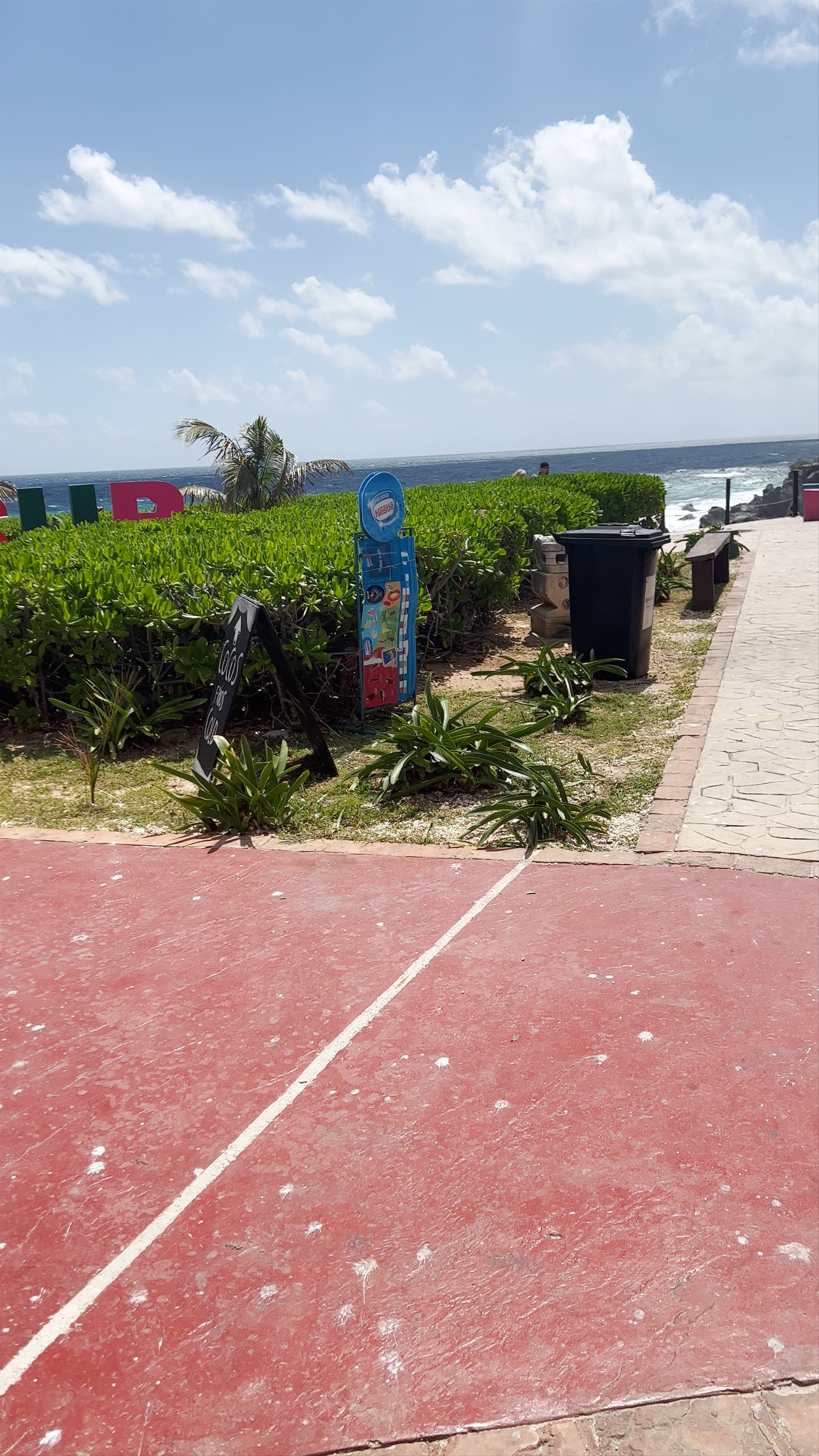 Punta sur
