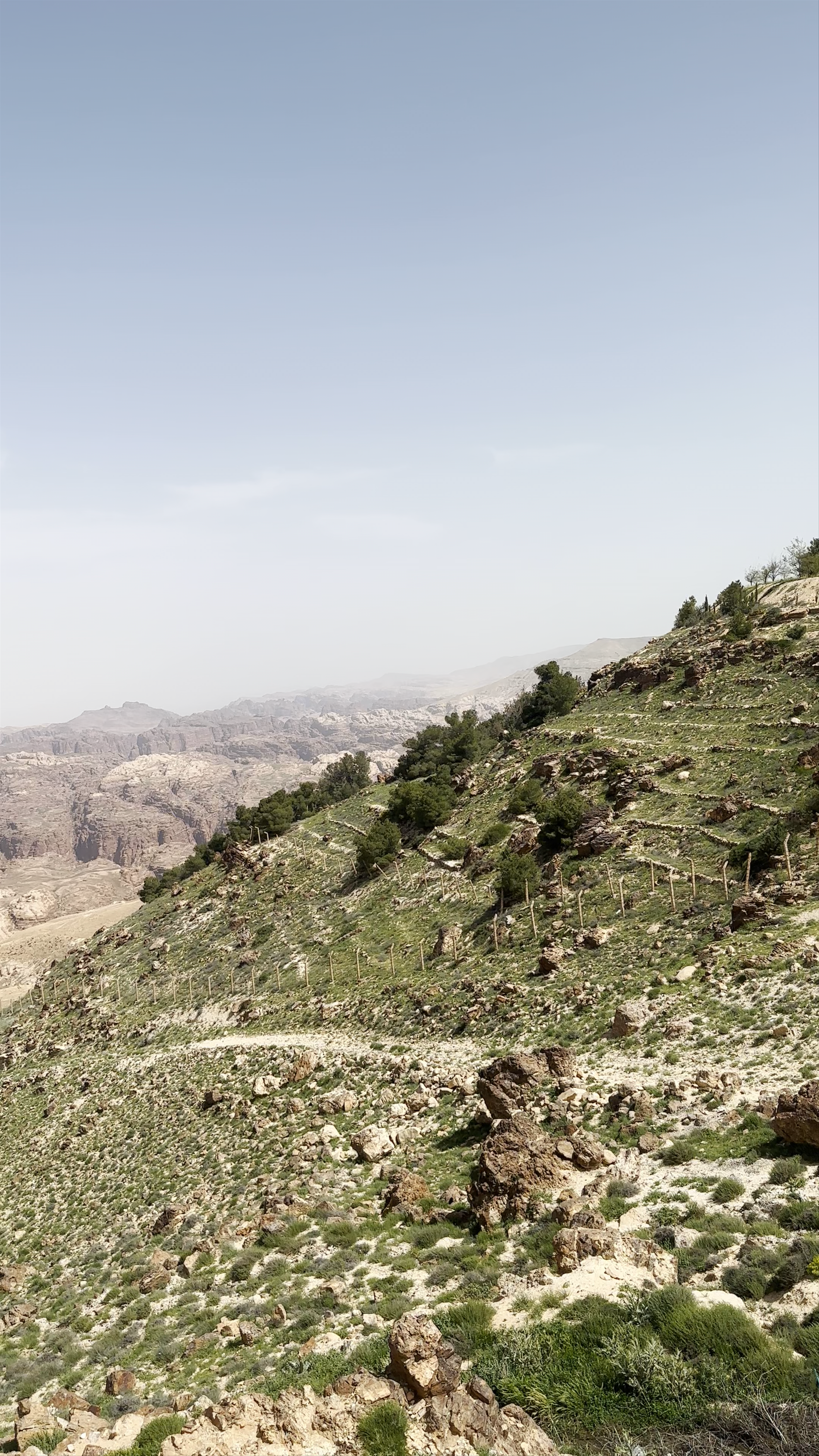 Panorama of the Petra Mountains، Rajif