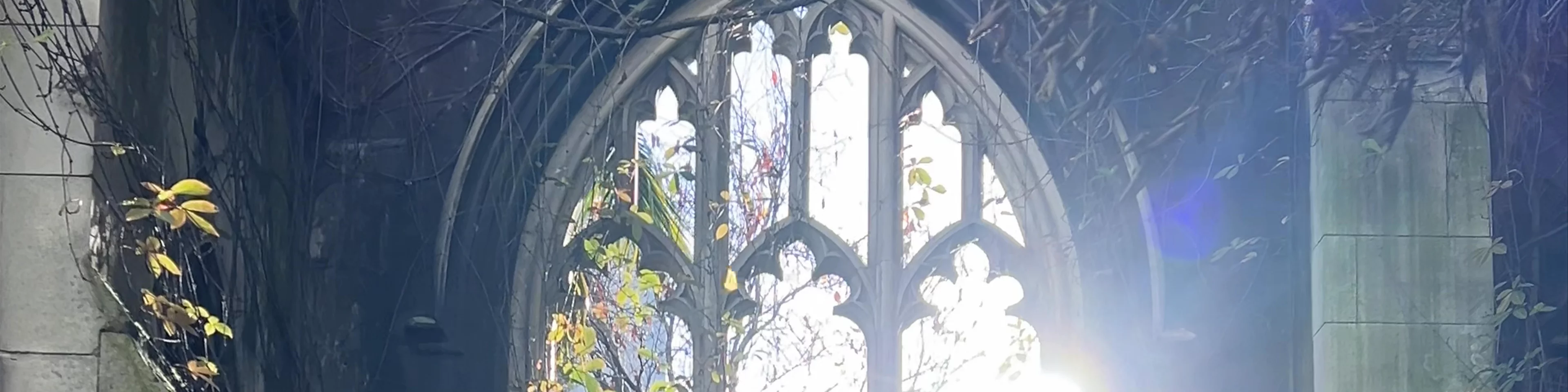 St Dunstan in the East Church Garden