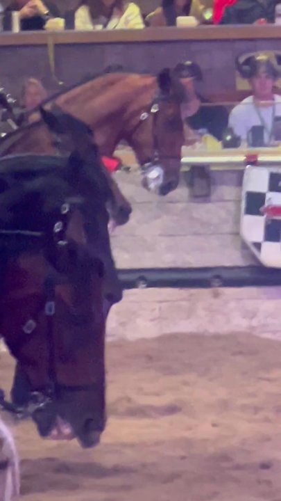 Medieval Times - You can see in the video the amount of spit and discomfort he is feeling. )': Poor baby. - Dinner Theater Near Me - Buena Park, California