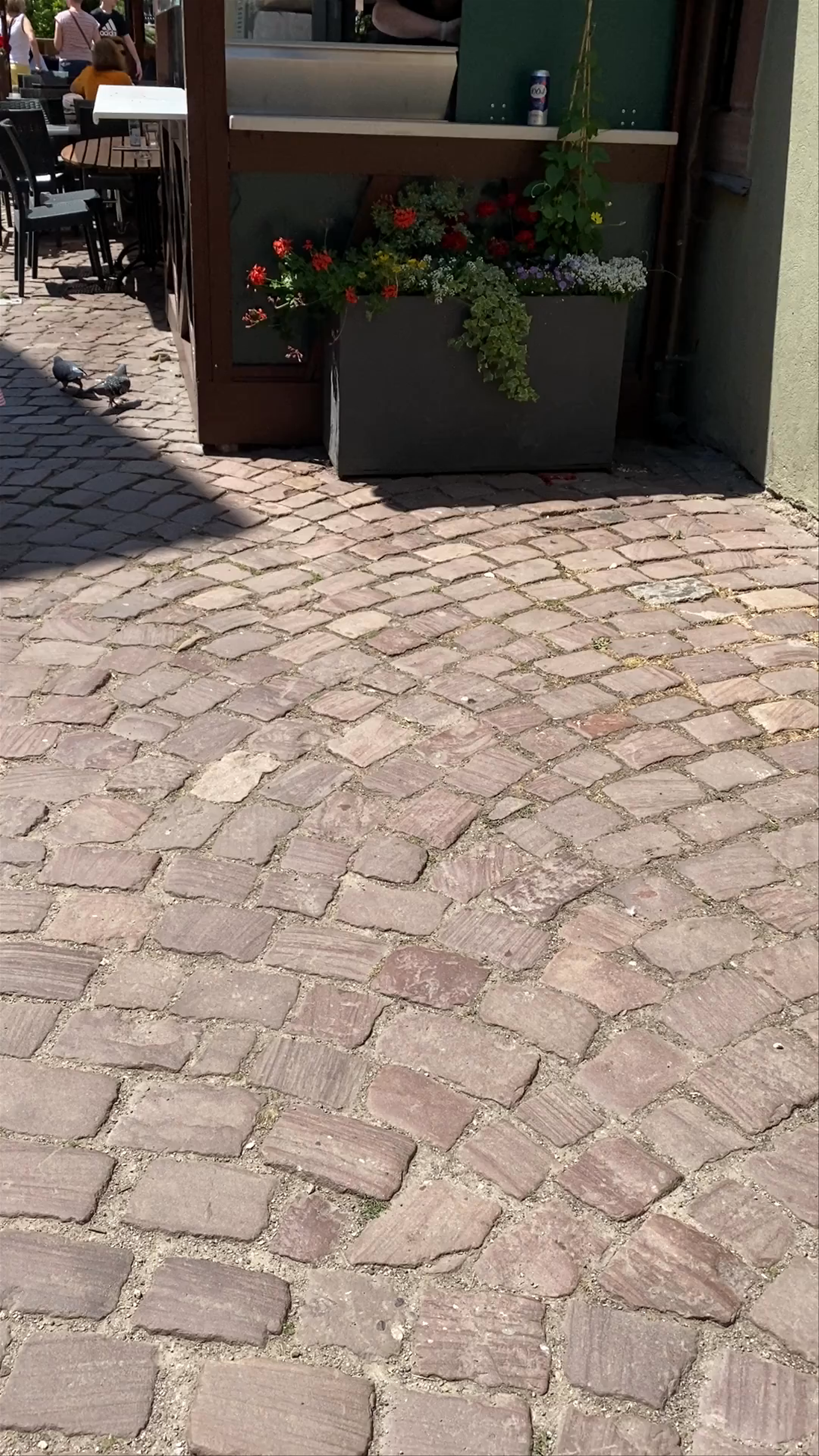 La Petite Venise: Charming Cobblestone Streets of Colmar, France