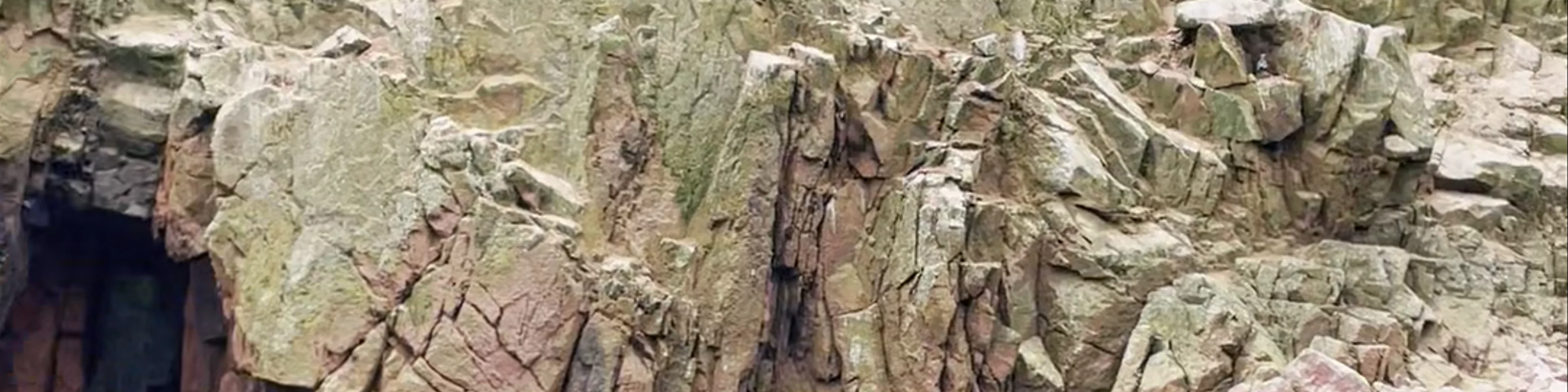 Ballestas