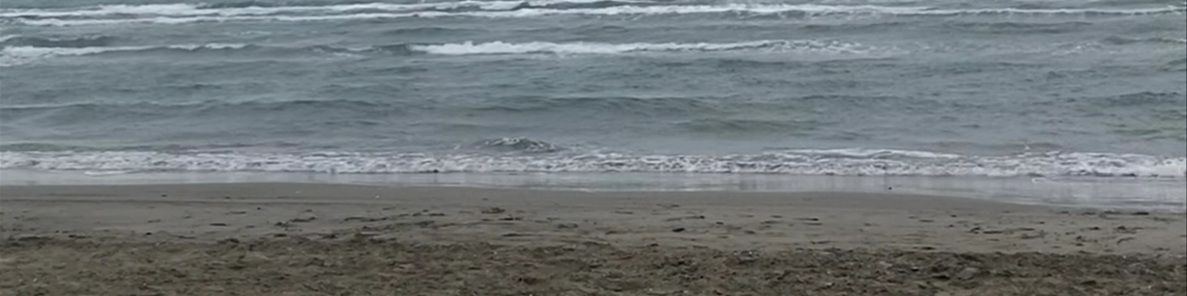 Spot de Kitesurf de Beauduc