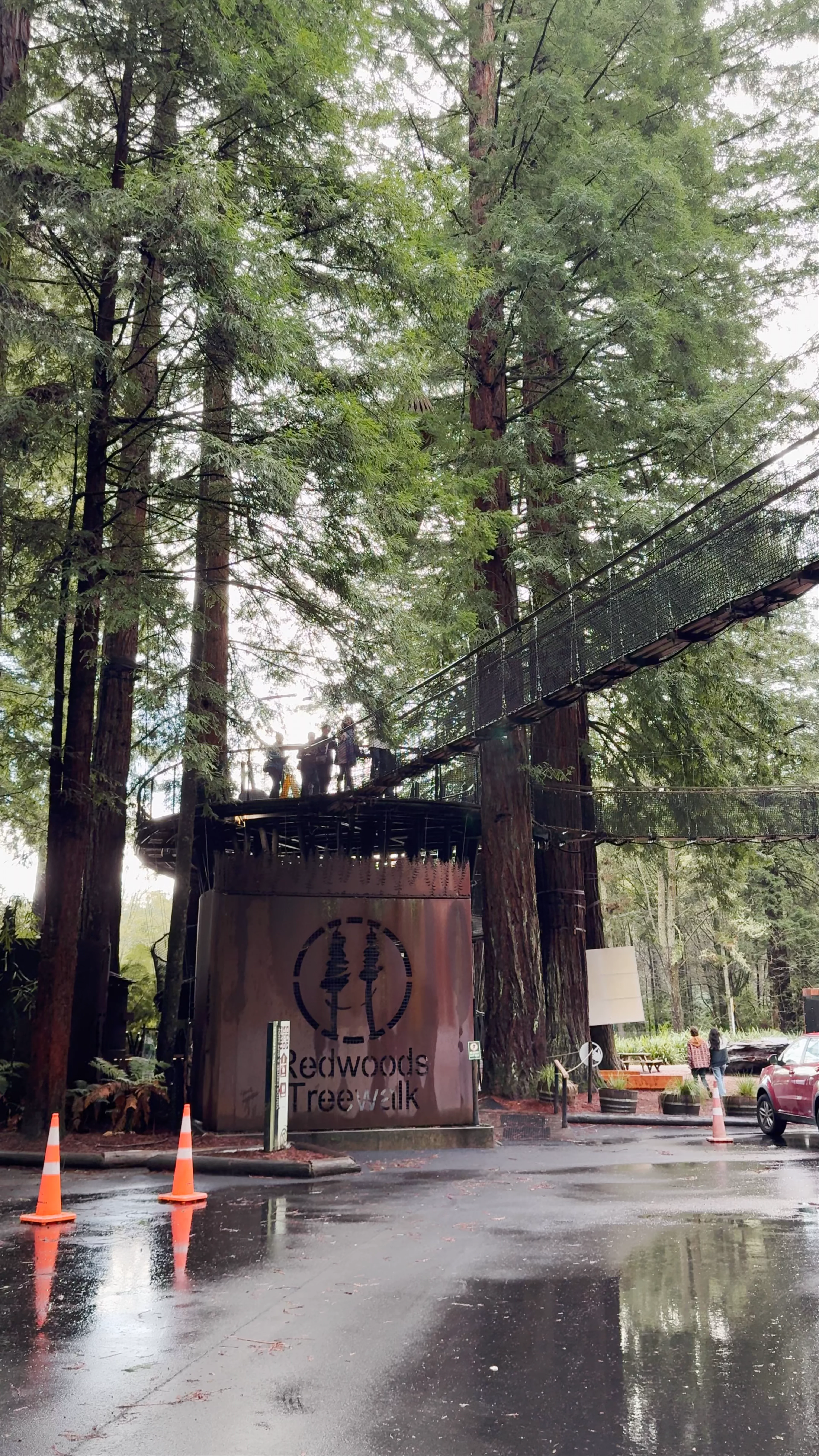 Redwoods Treewalk