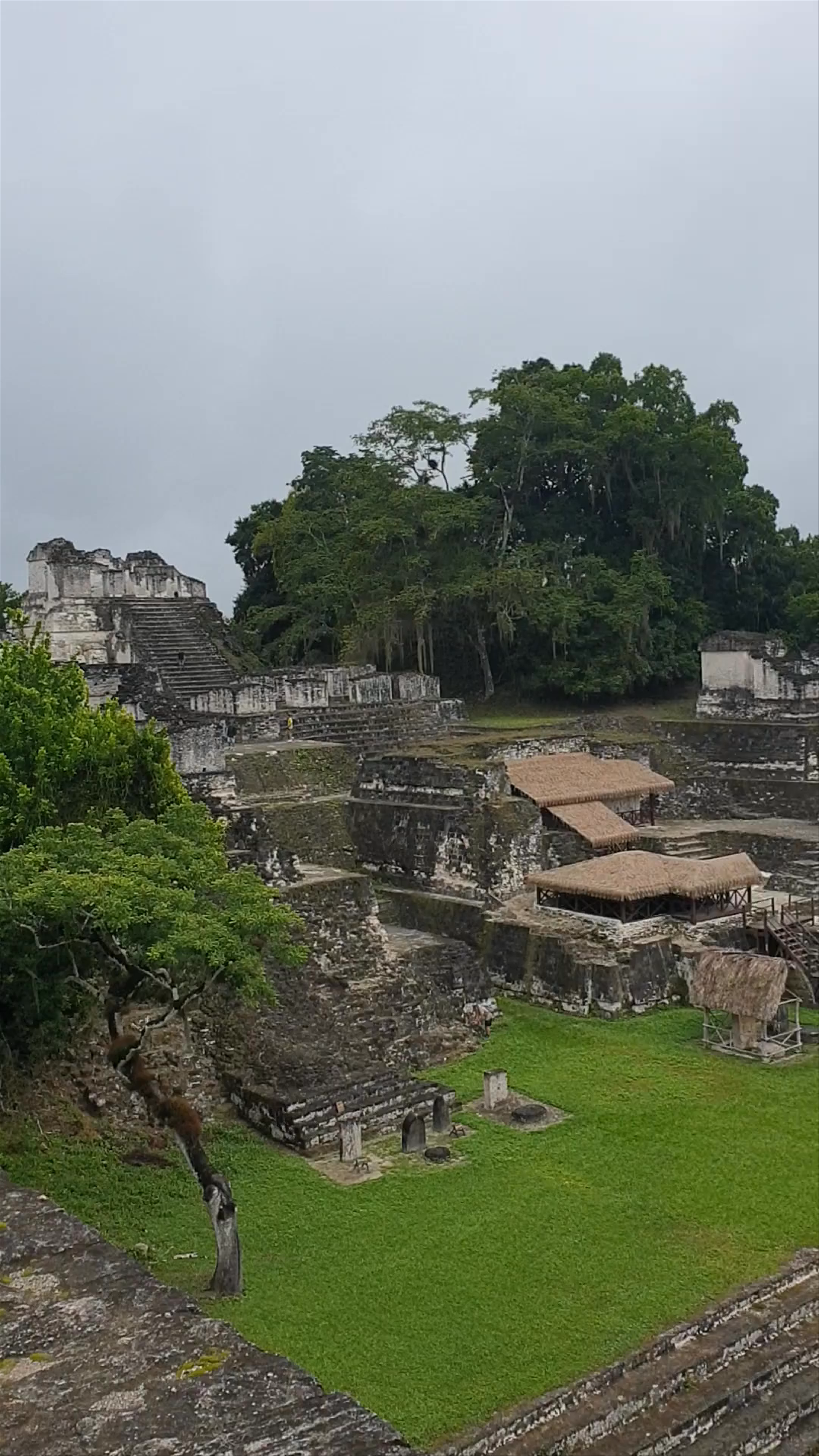 Tikal