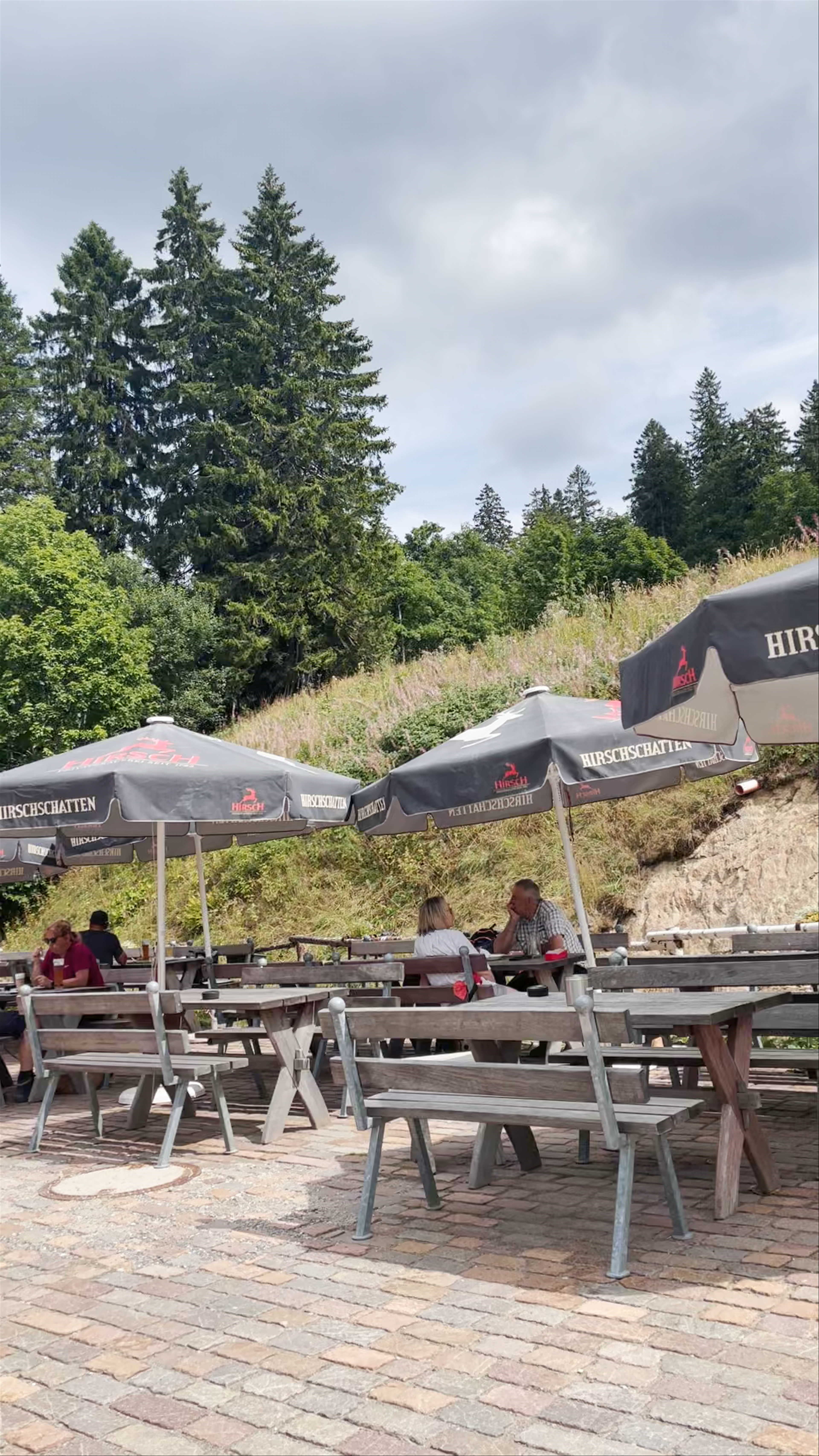 Seebuck-Hütte: Alpine Tranquility at Feldberg, Germany