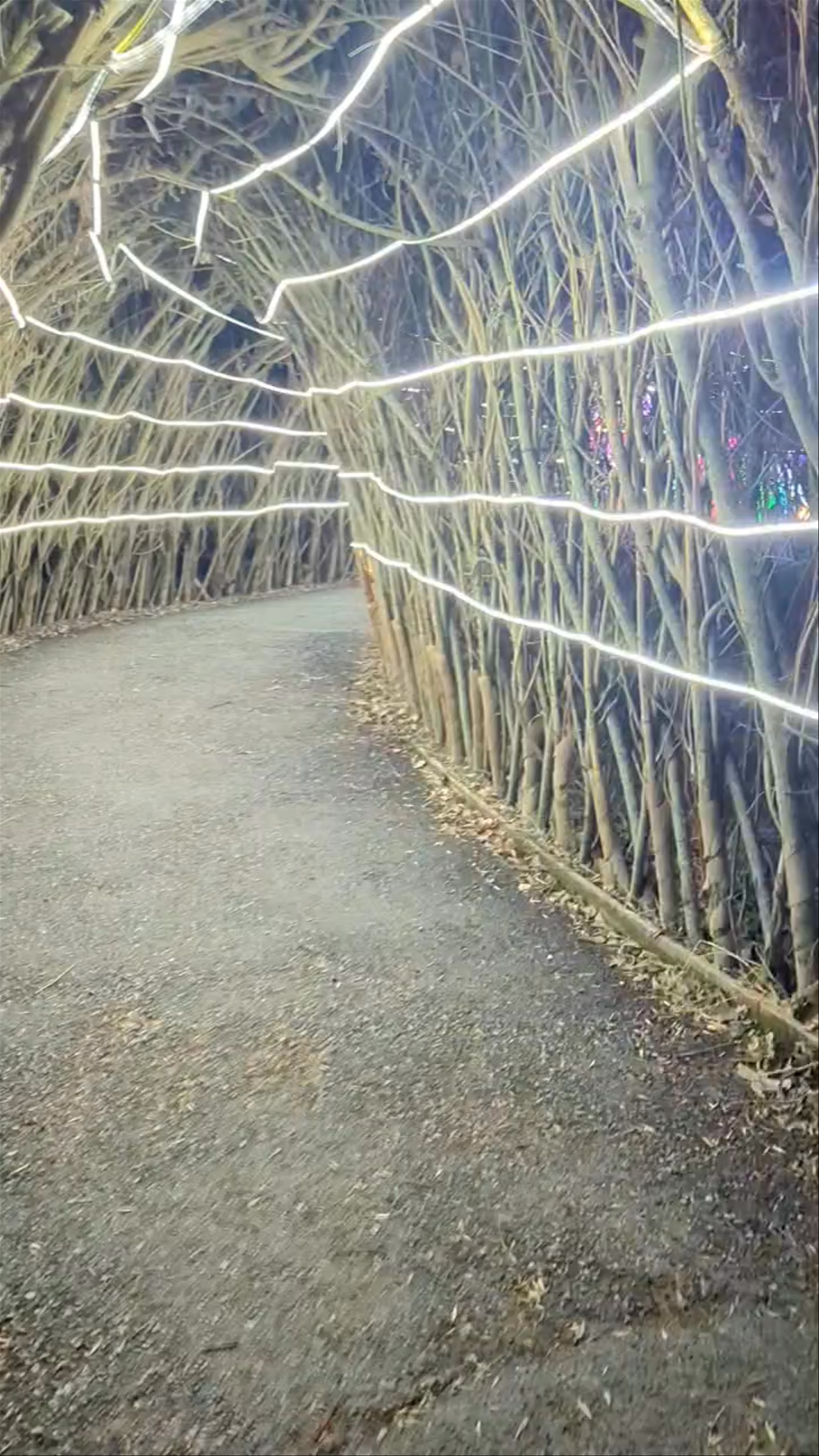 Land of Lights Milton Keynes