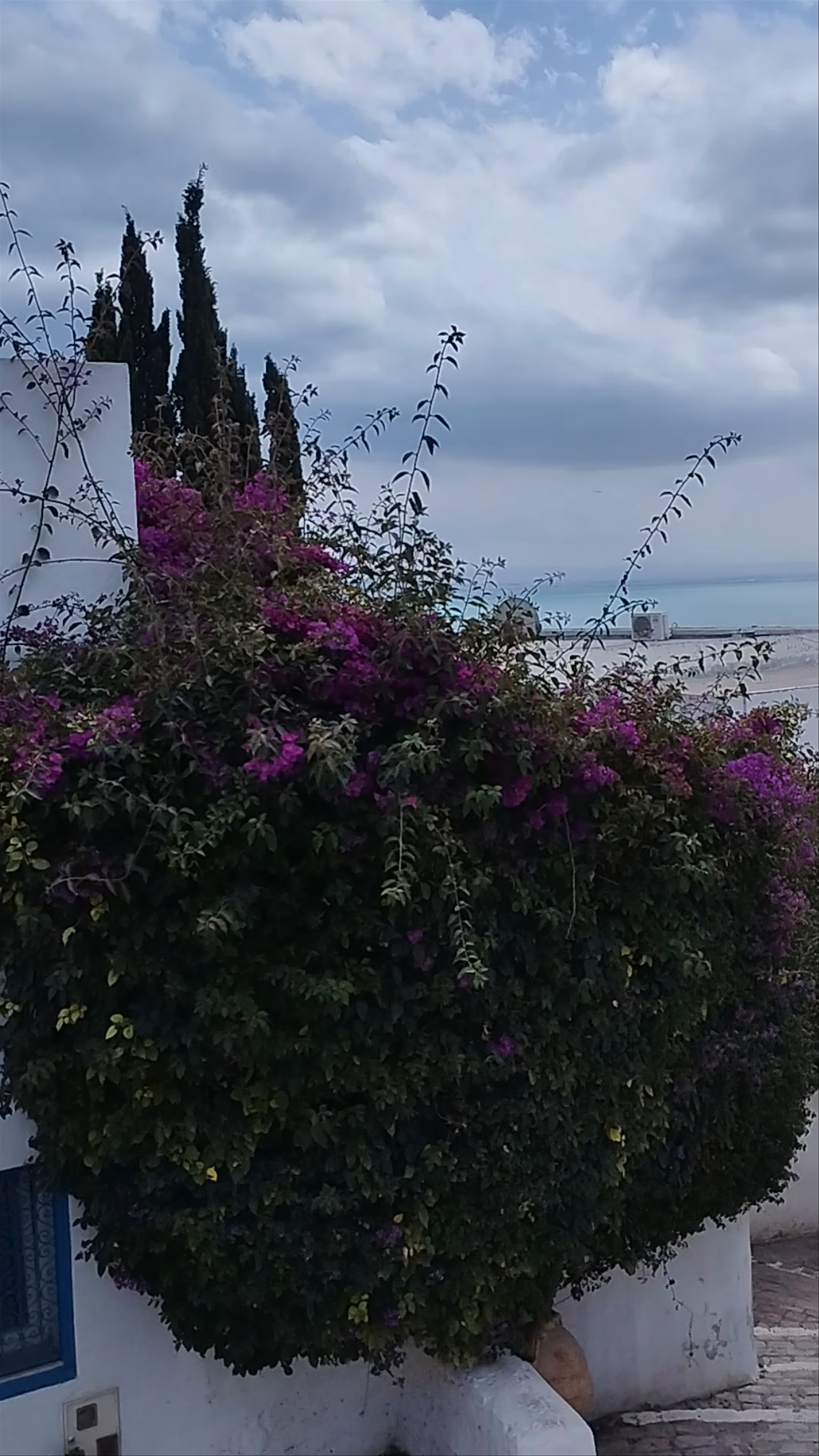 Sidi Bou Said