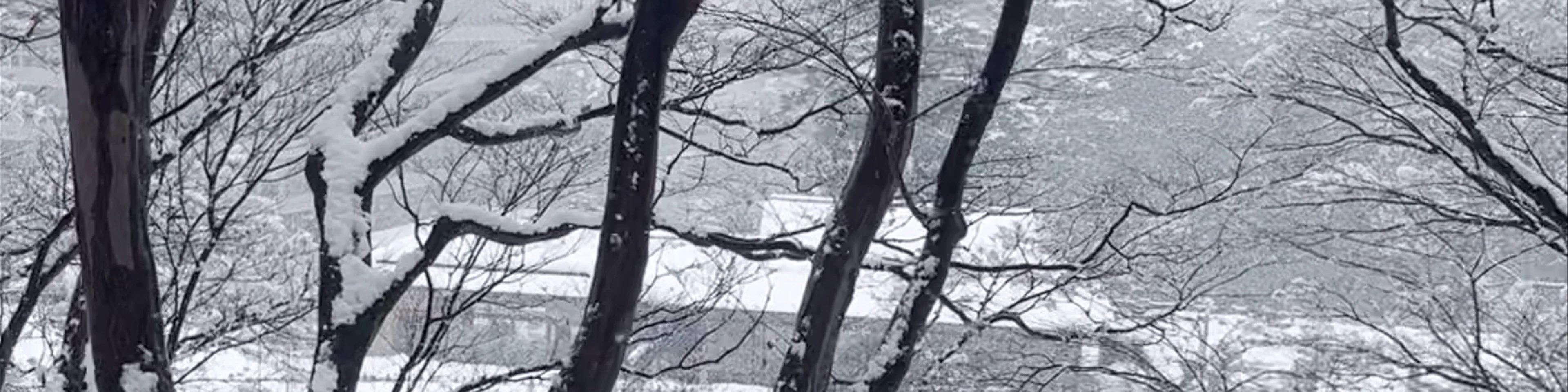 Gyokusen-inmaru Garden