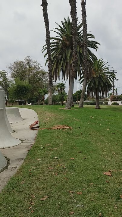 Brookhurst Community Park - Parks Near Me - Anaheim, California