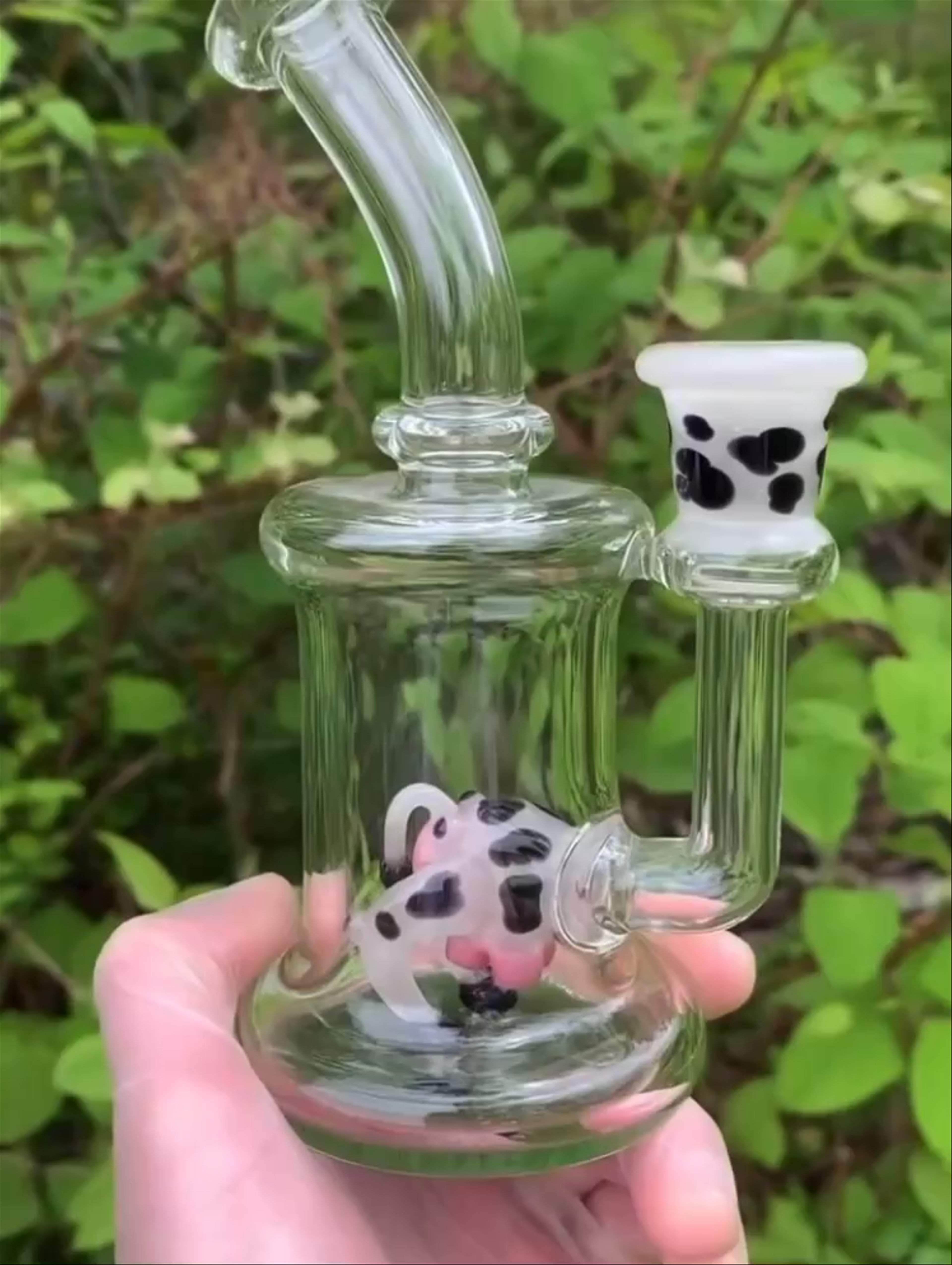 Preview pic of MTP Glass Cow Butt Rig