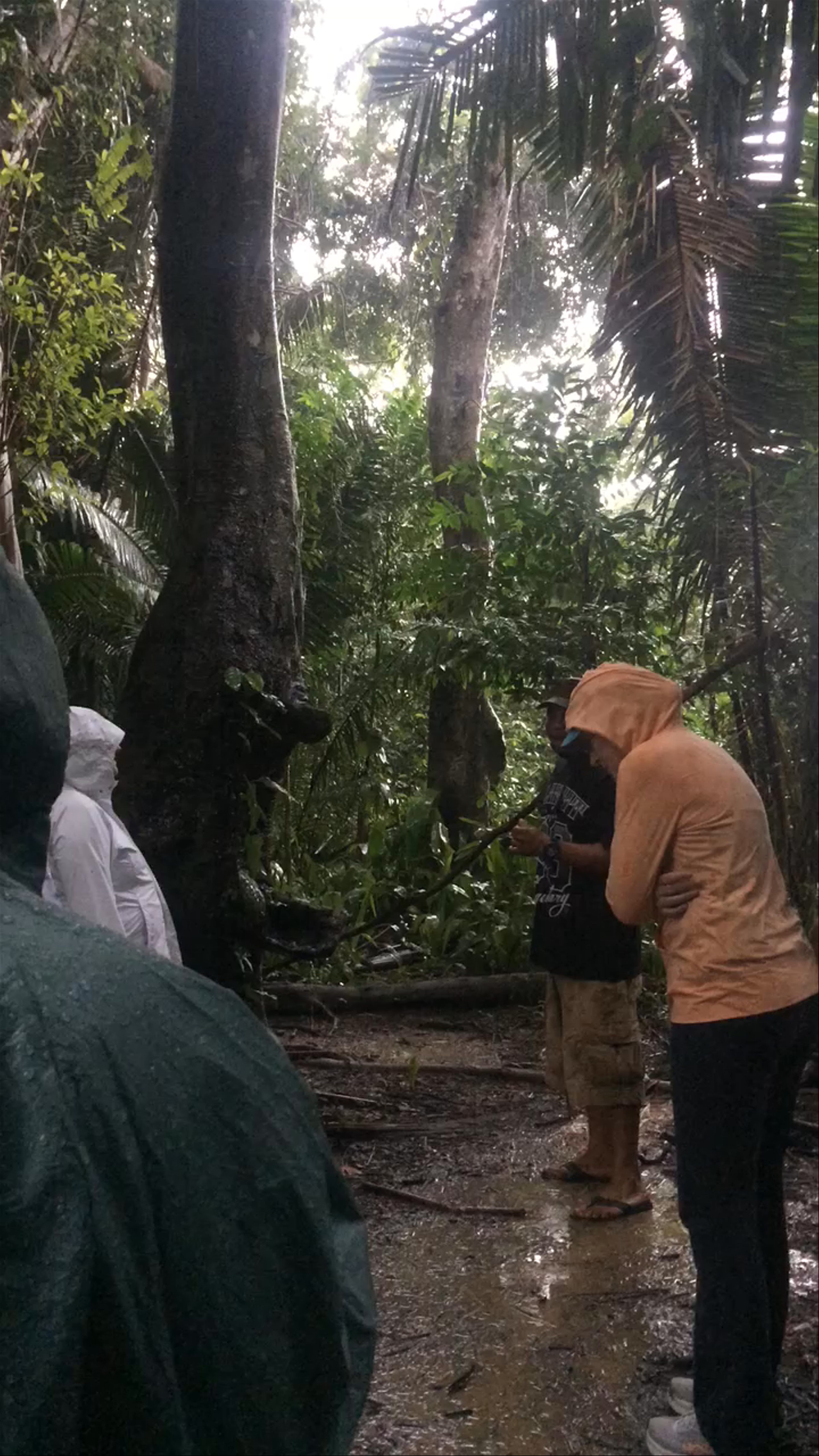 Monkey River Eco Tours 🇧🇿