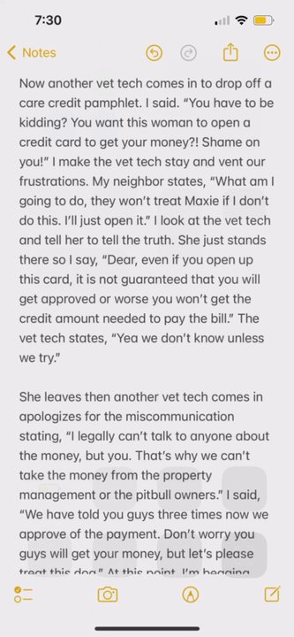 Veterinary Emergency Center - My encounter and thoughts about this place. - Emergency Pet Hospital Near Me - Manchester, New Hampshire
