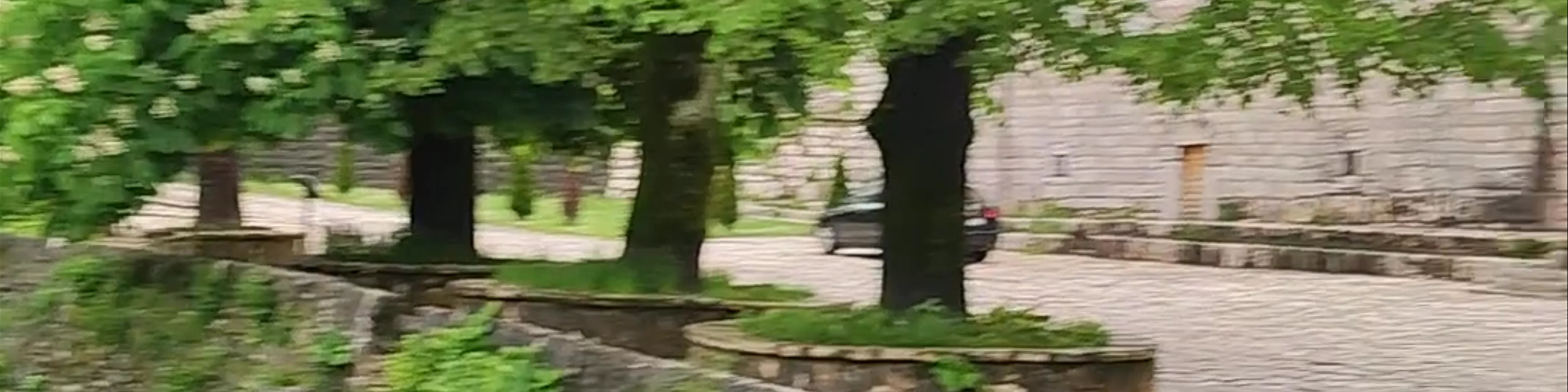Cetinje Monastery