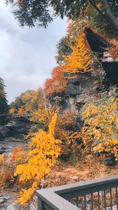 Ledges Hotel - It's super gorgeous outback by the falls! - Hotels Near Me - Hawley, Pennsylvania