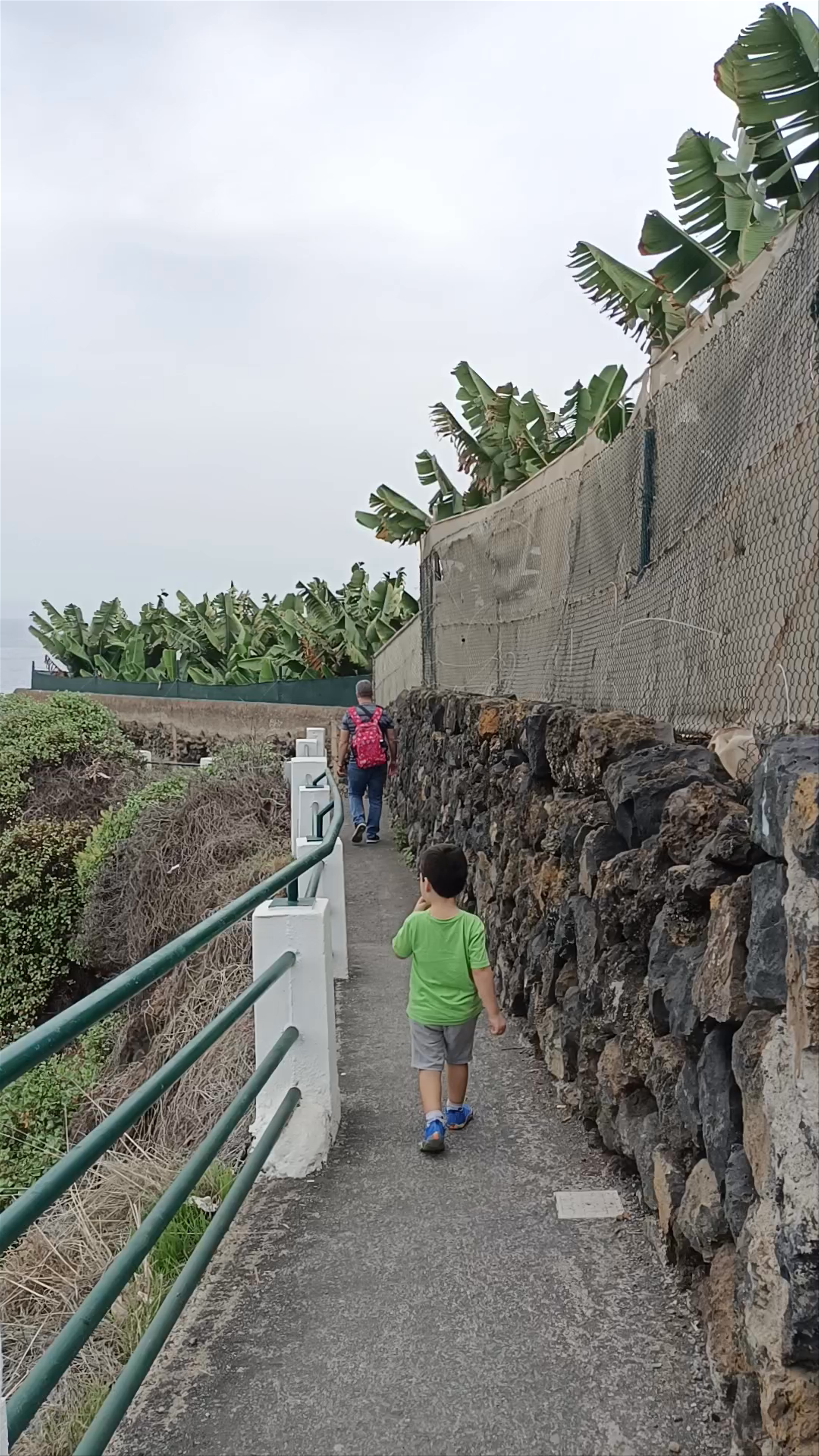 Exploring Playa El Bollullo: Black Sand Beach and Coastal Walk, Tenerife
