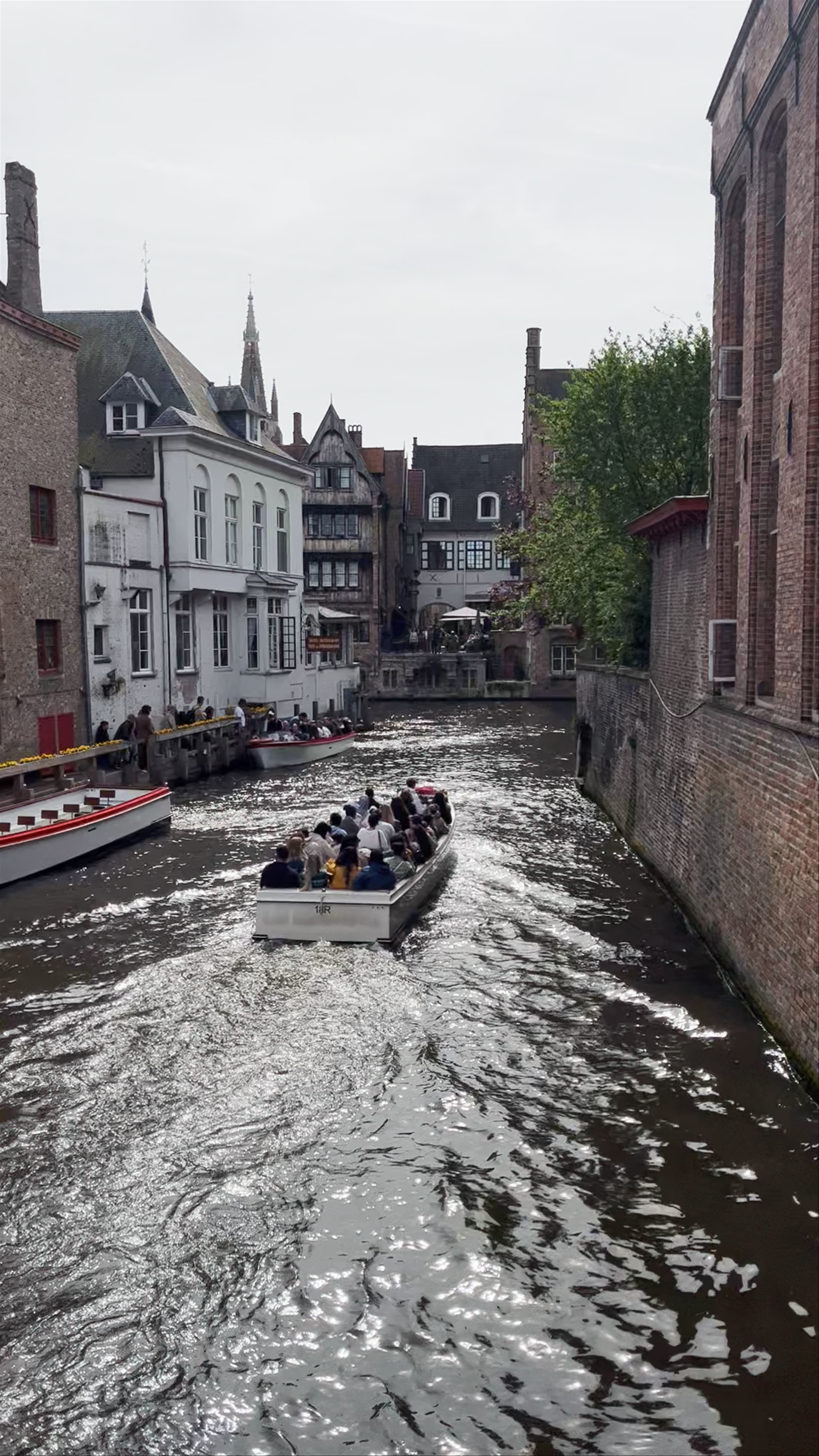 Scenic Boat Tour in Bruges Canal, Belgium