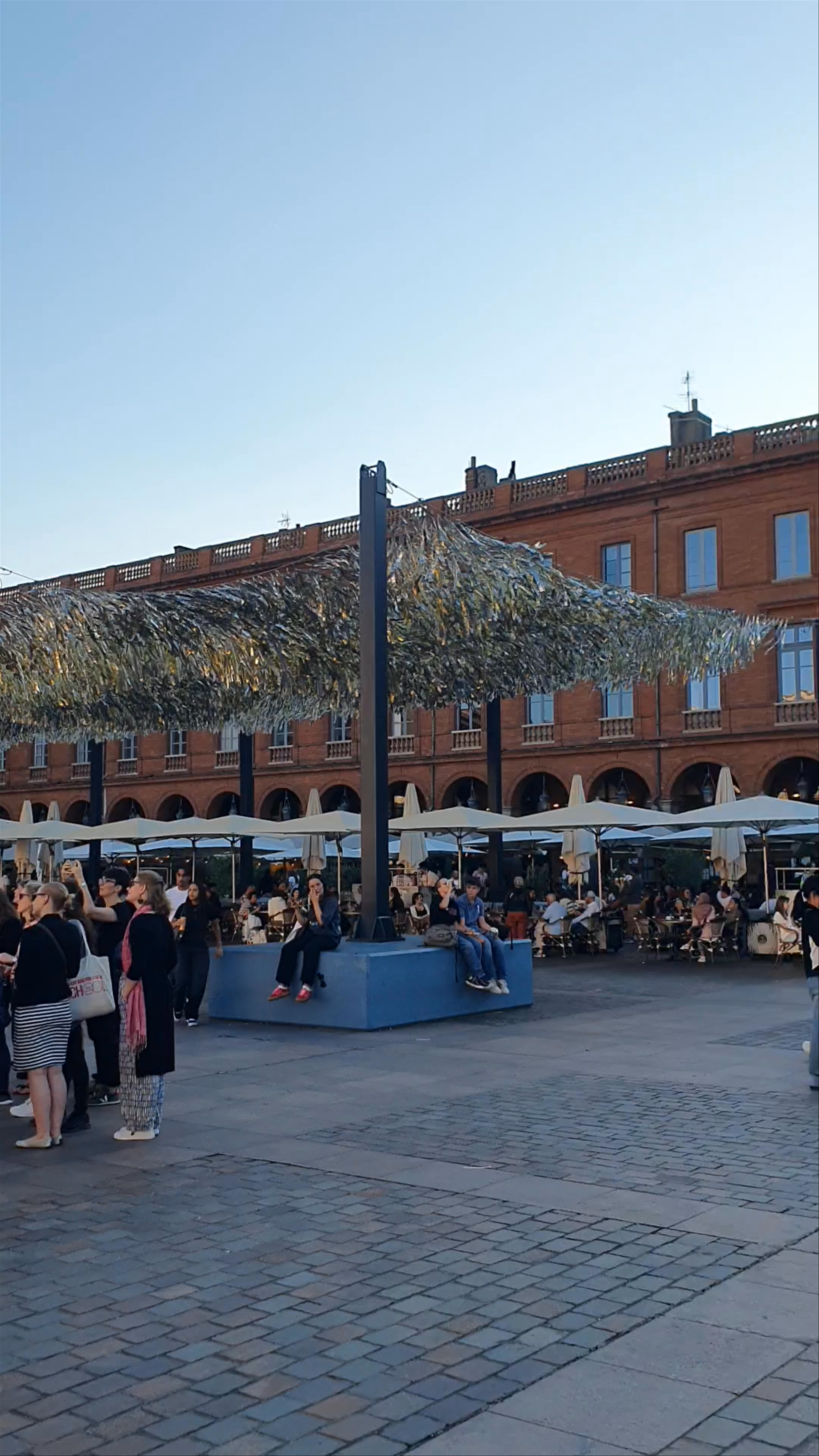 Evening Vibes at Place du Capitole, Toulouse