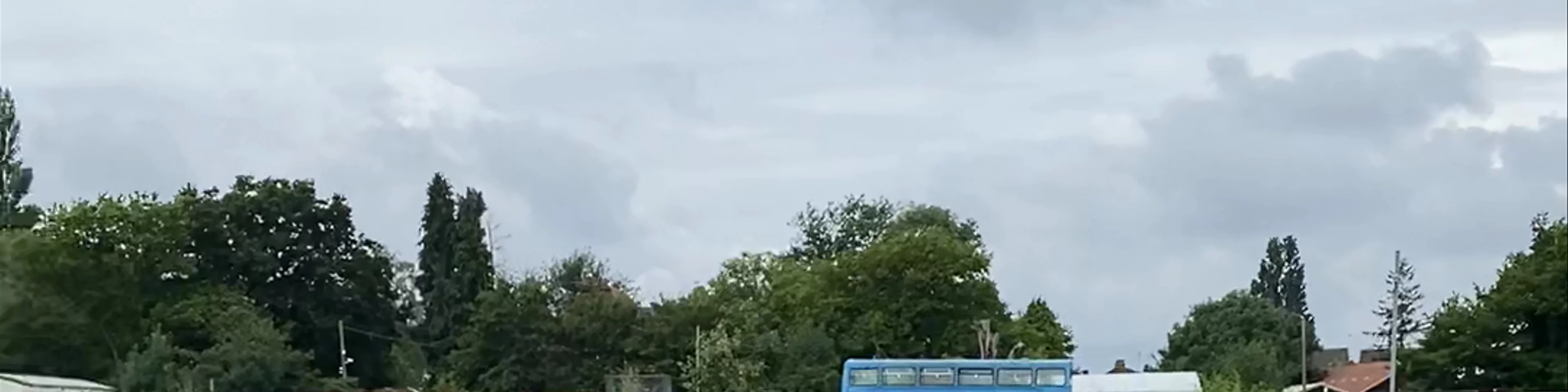Hopefield Animal Sanctuary