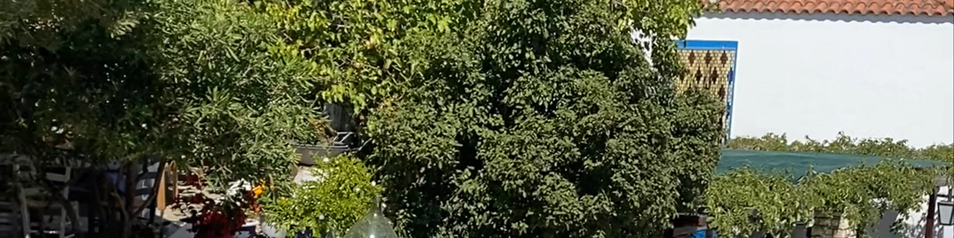 Alonnisos