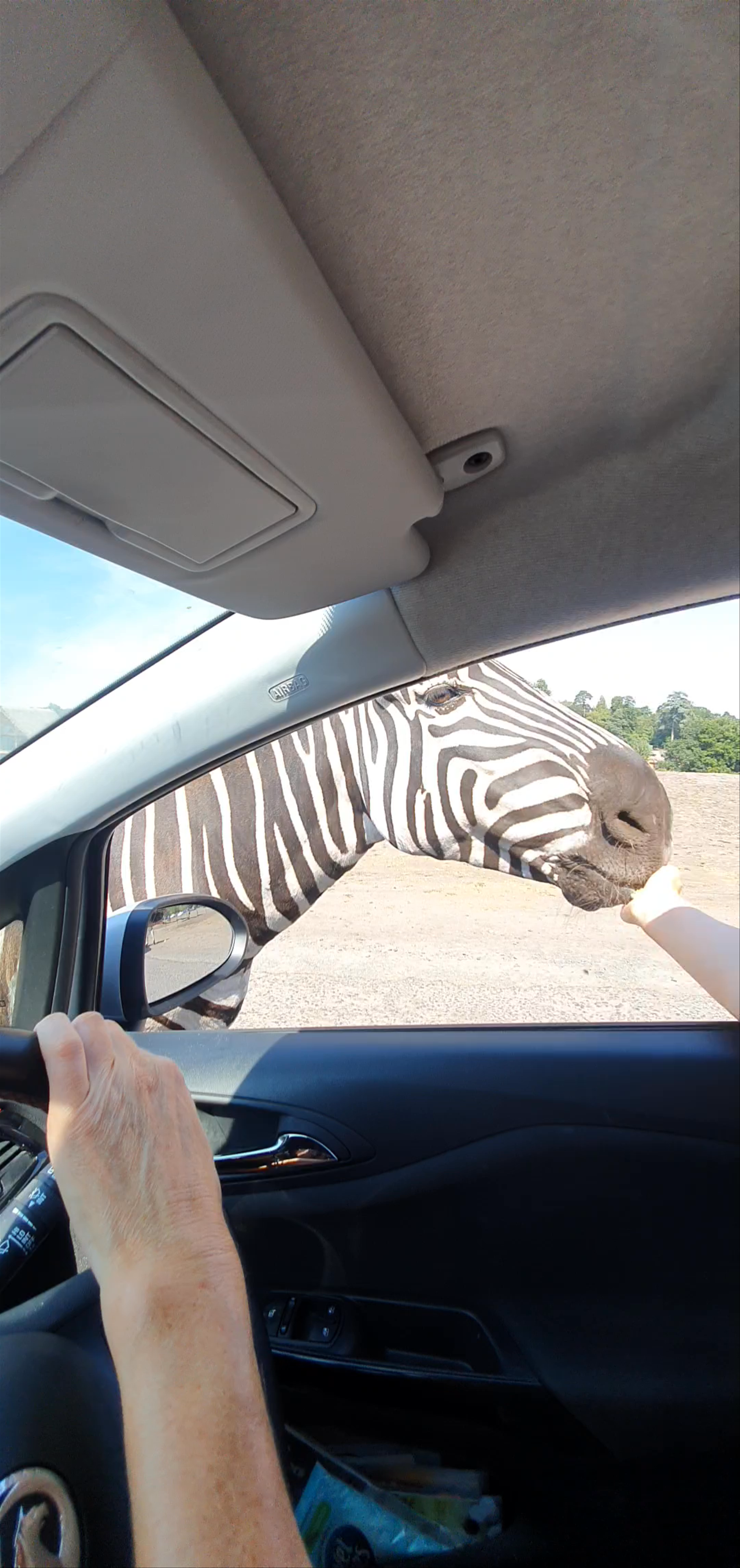 West Midland Safari Park