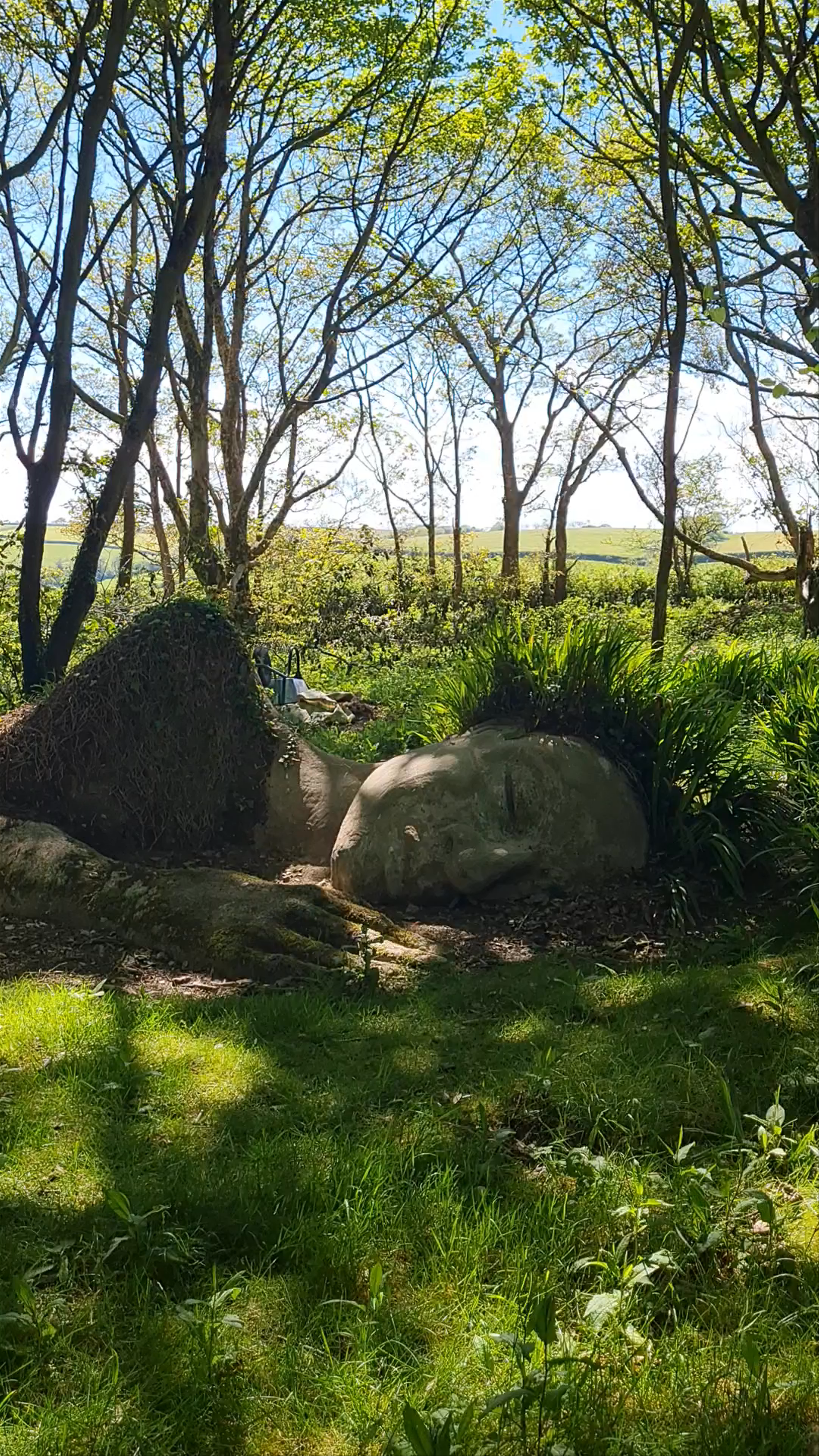The Lost Gardens of Heligan: A Mystical Woodland Escape in Cornwall