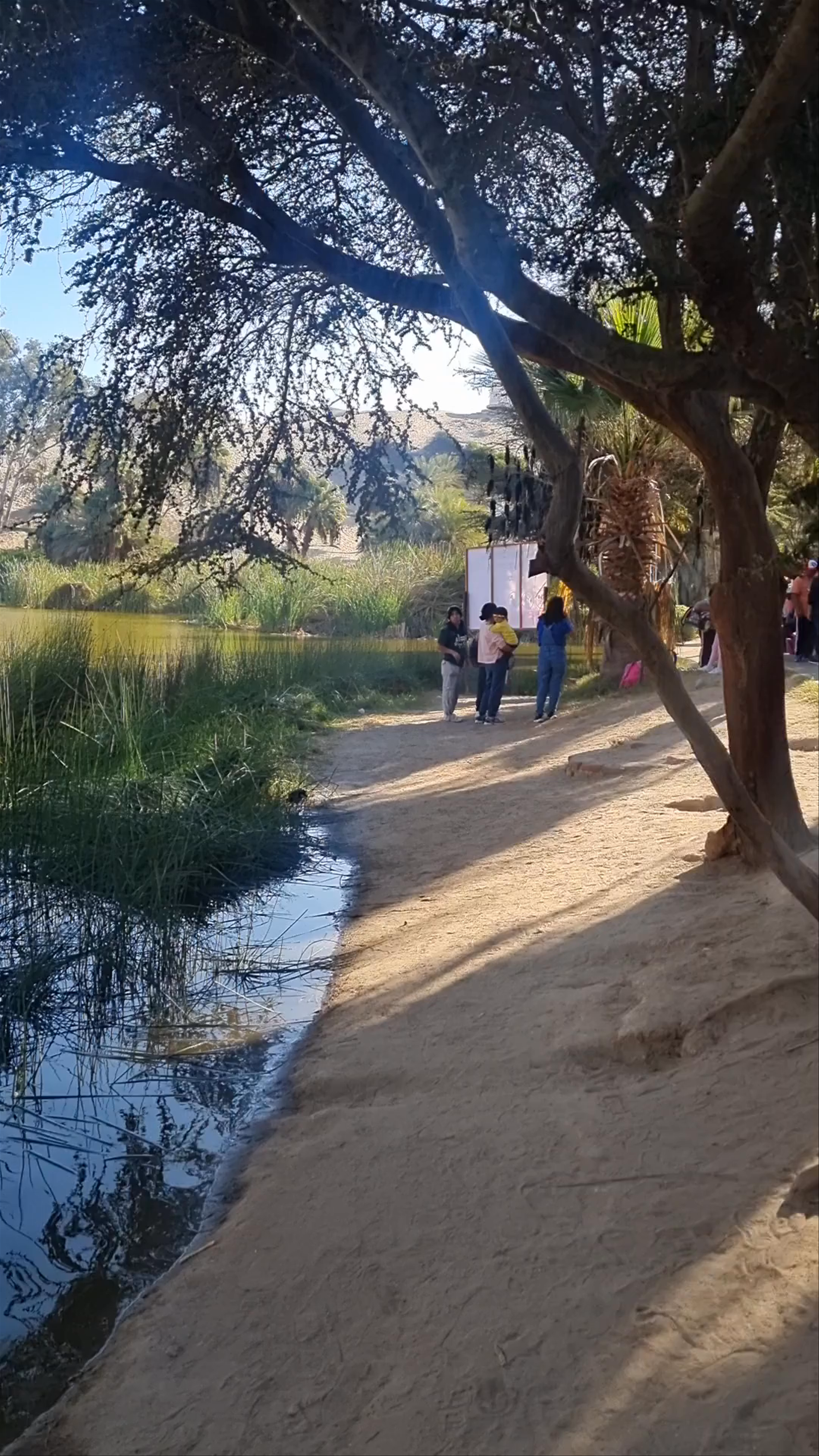 Huacachina Oasis