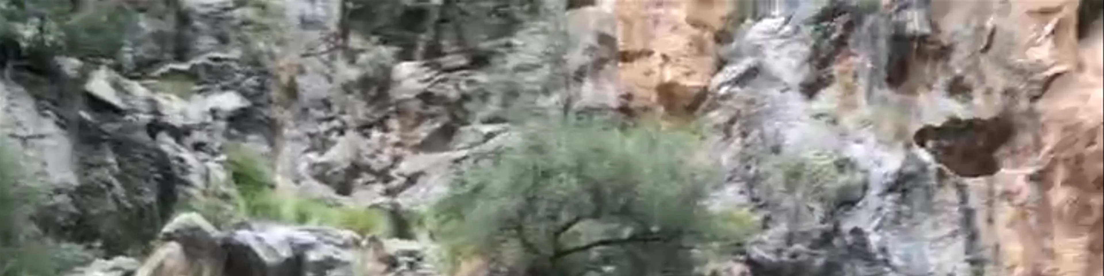Torrent de Pareis