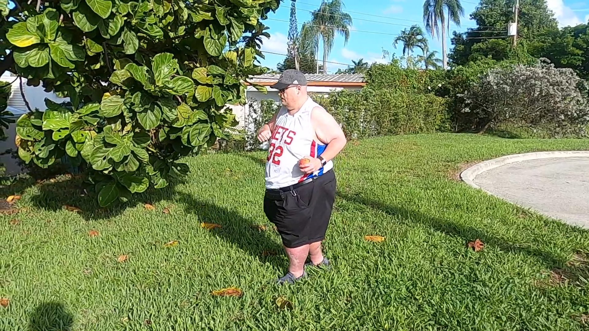 Frank's Fruit Test: Mango