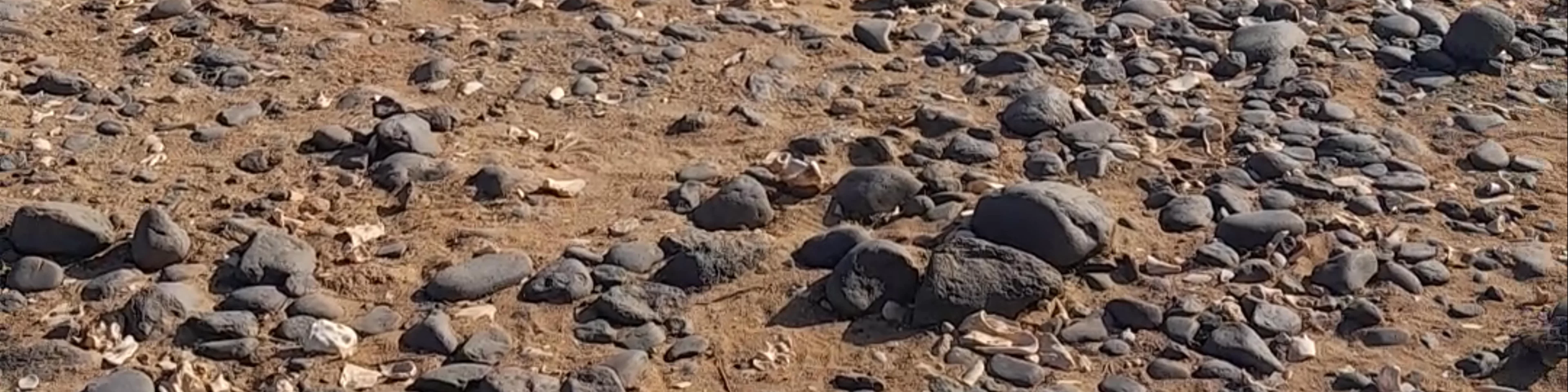 Shell Cemetery Beach