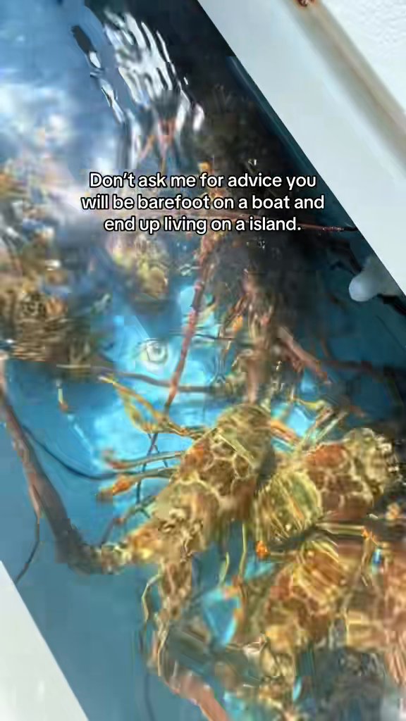 Sounds like good advice to me🛥️🤙🏼🌞