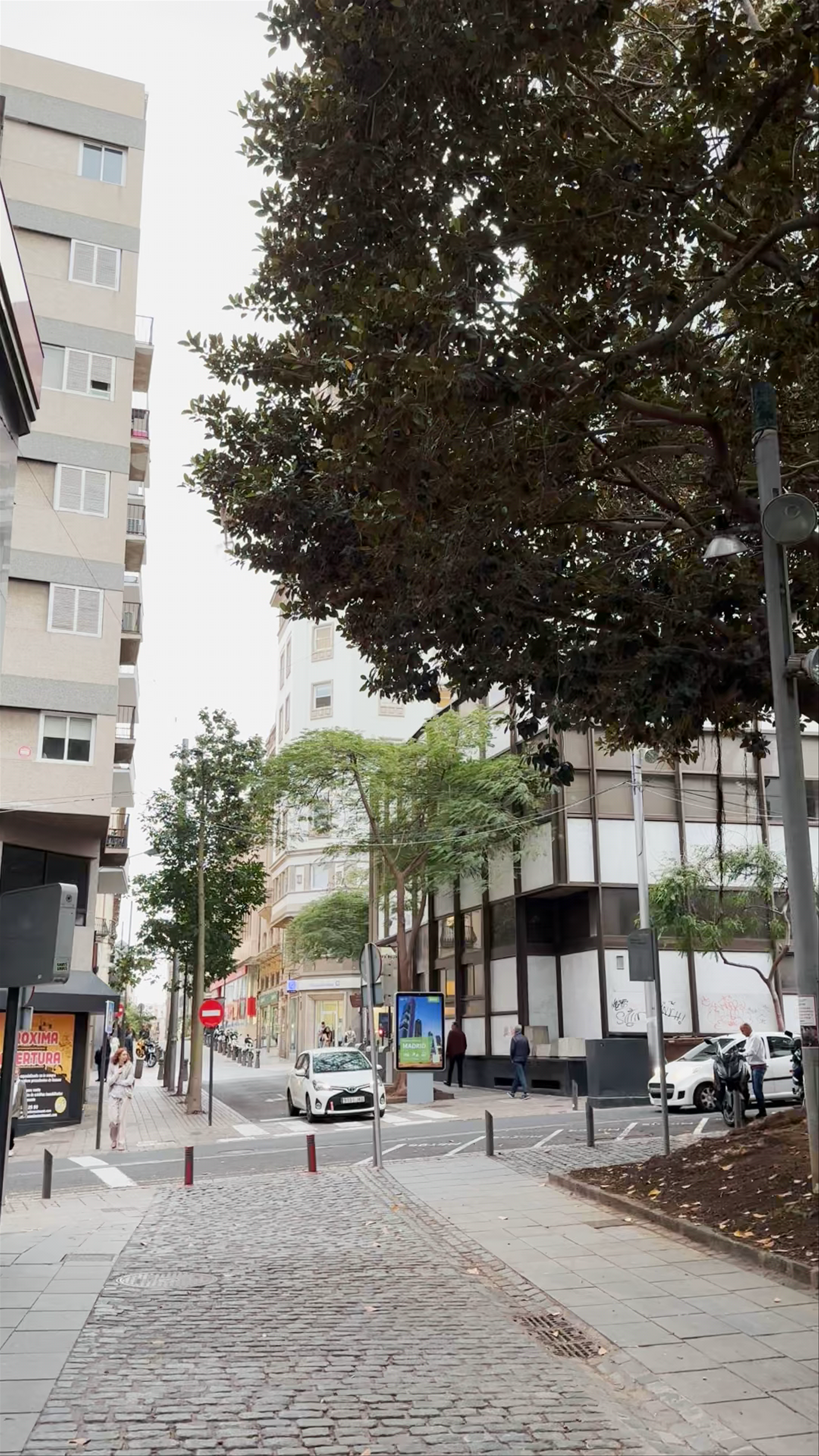 Strolling Through Plaza San Francisco in Santa Cruz de Tenerife