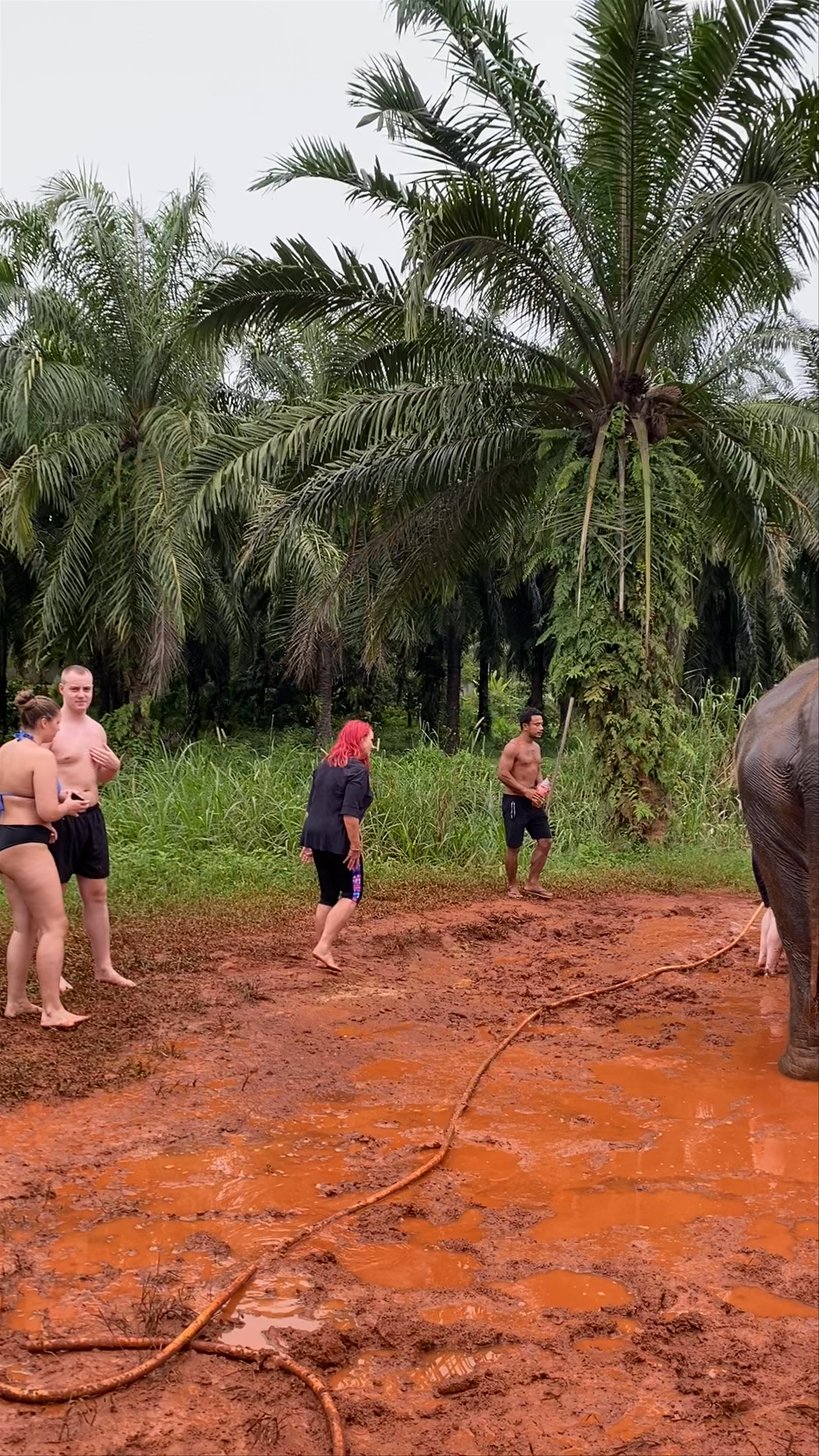Krabi Elephant Shelter