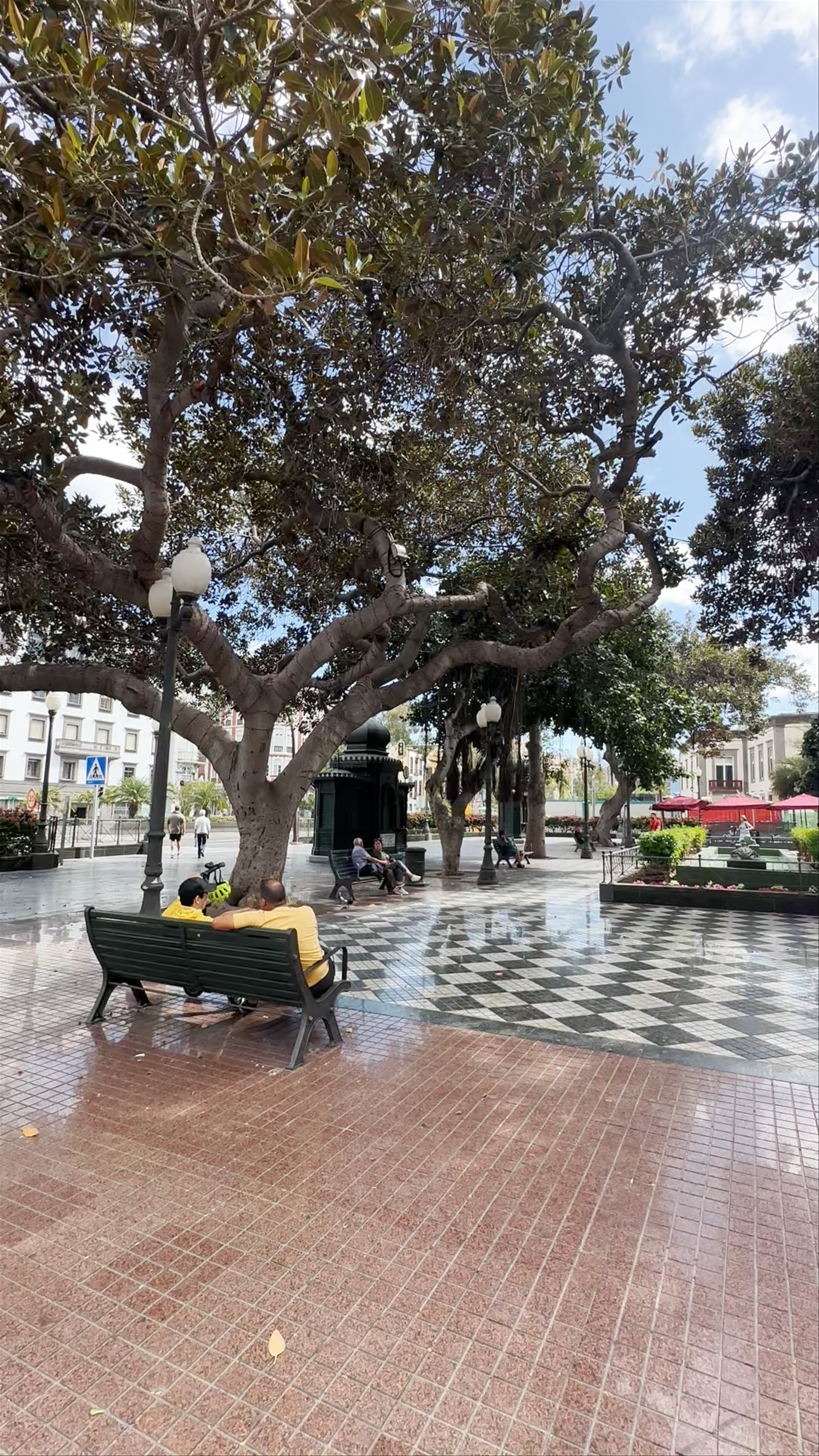 Plaza de las Ranas: Serene Urban Oasis in Las Palmas de Gran Canaria