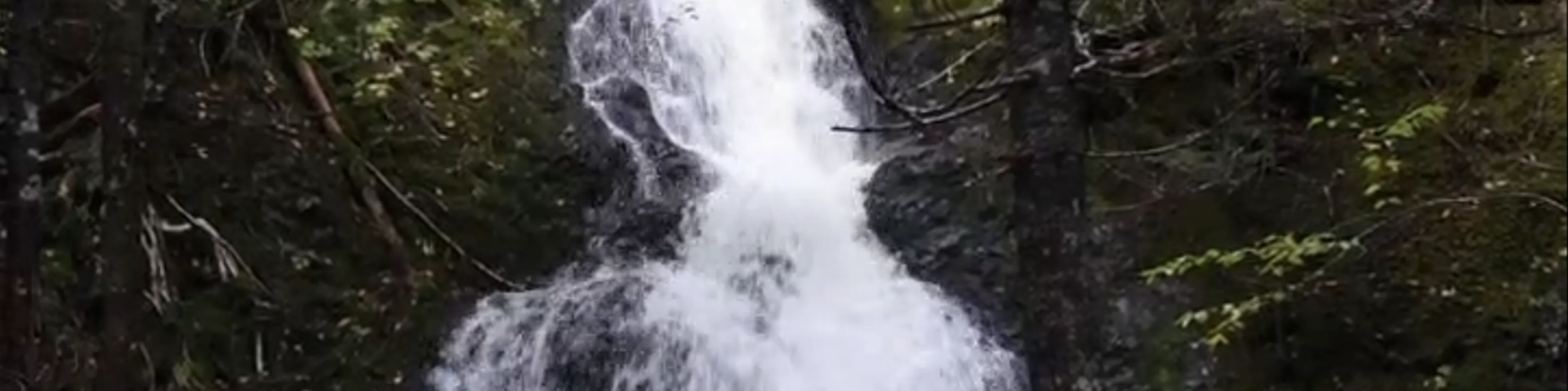 McLeod Brook Falls